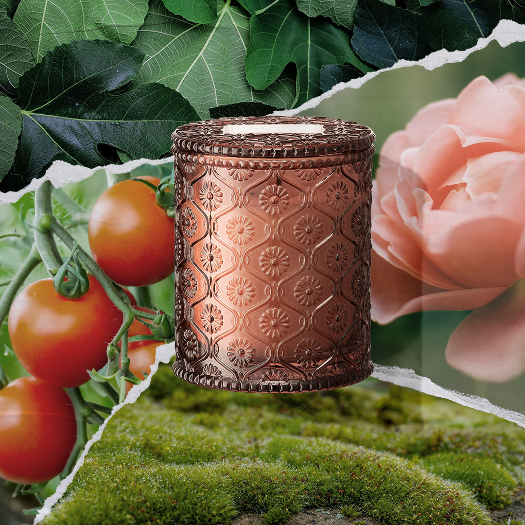 Maelyn - Tomato & Vine 6oz Candle Candles Maelyn_TomatoVine_PDP_6oz_2 La Jolie Muse