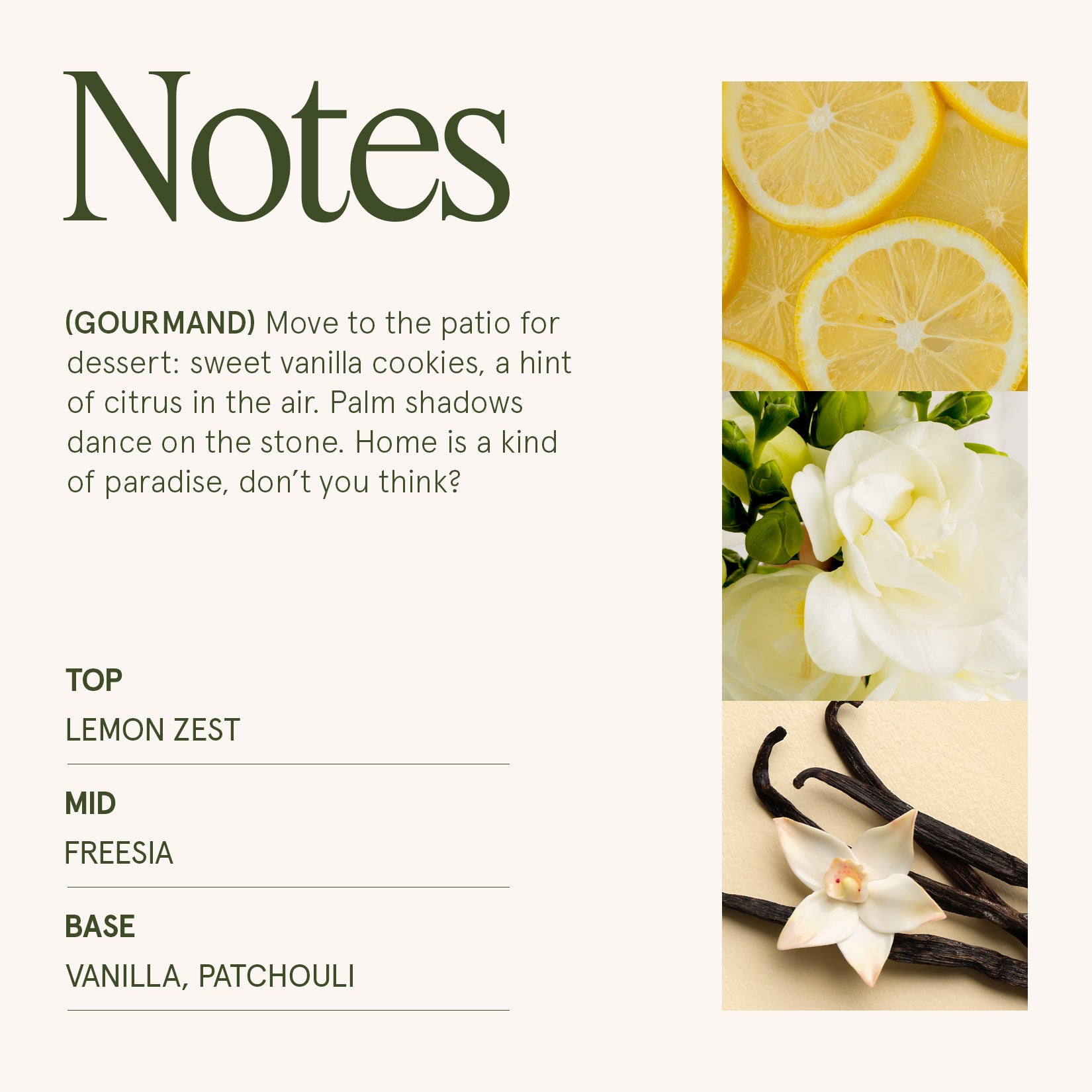 Maelyn - Vanilla Bomb 6oz Candle Candles Maelyn_VanillaBomb_PDP_6oz_4 La Jolie Muse