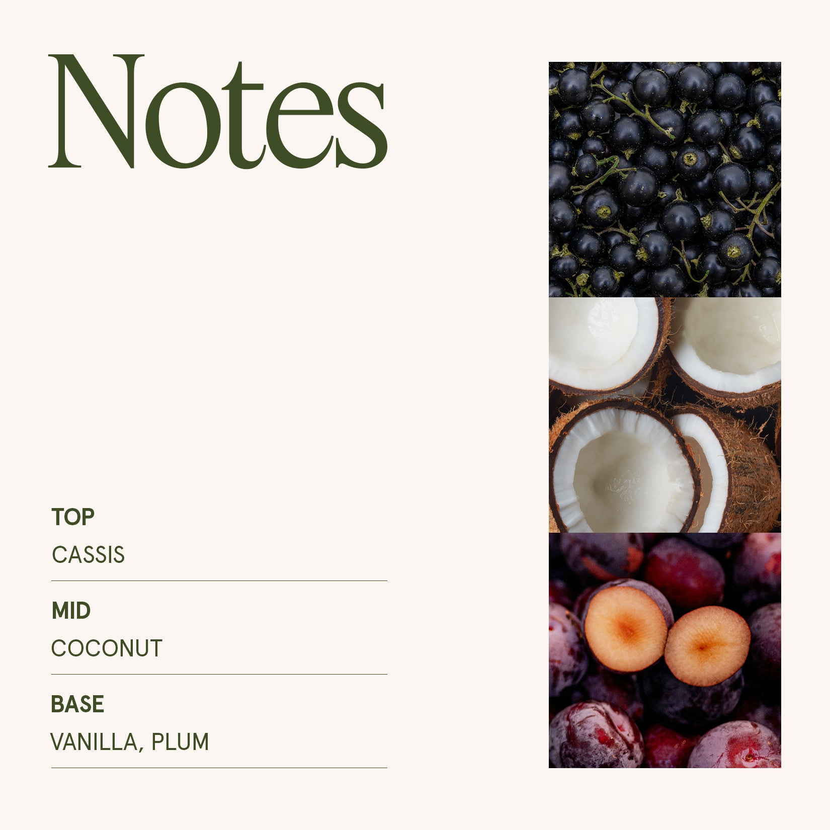 Maelyn - Vanilla Plum Sky 12oz Candle Candles Maelyn_VanillaPlumSky_PDP_12oz_5_47572a51-0cf6-4cf9-9798-c7a464868d5a La Jolie Muse