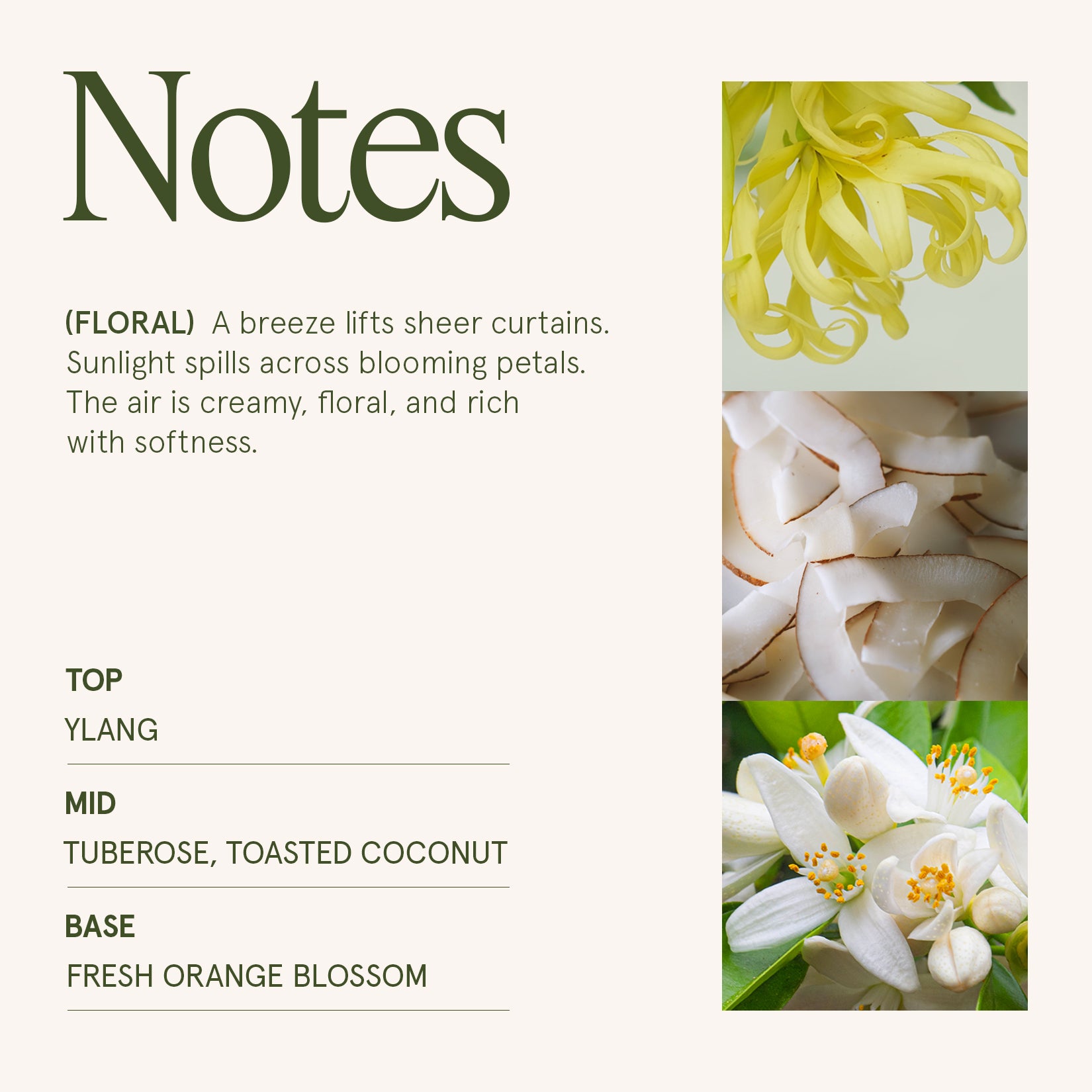 Marvella - Champs de Tuberose 10oz Candle Candles Marvella_ChampsdeTuberose_PDP_10oz_4 La Jolie Muse