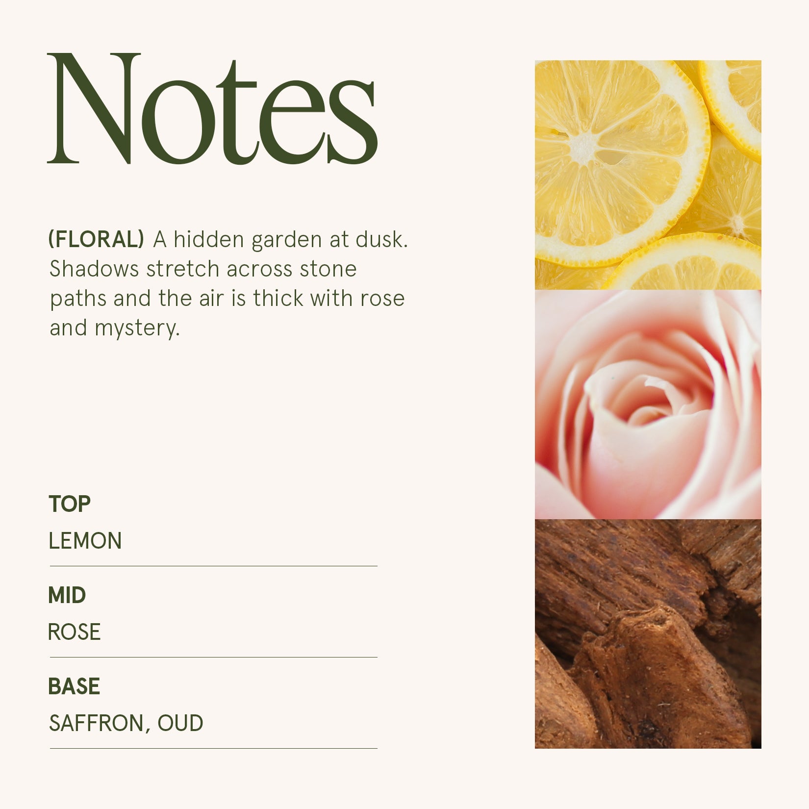 Marvella - Rose Noir & Oud 10oz Candle Candles Marvella_RoseNoirOud_PDP_10oz_4 La Jolie Muse