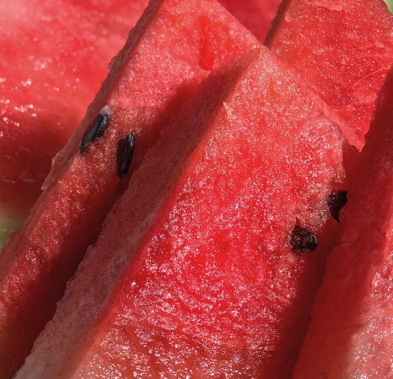 Watermelon Mint Zest