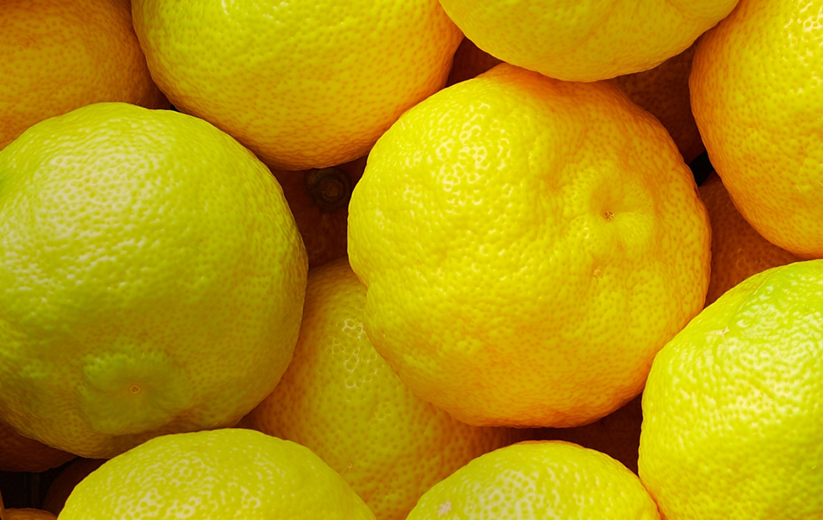 Yuzu & Neroli Blossom