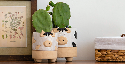 The Best Small Indoor Planters For Your Tiny Apartment Jungle