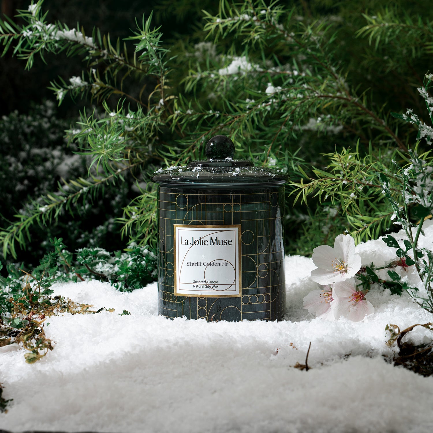Roesia Starlit Golden Fir 10oz Candle Candles 4_15 La Jolie Muse