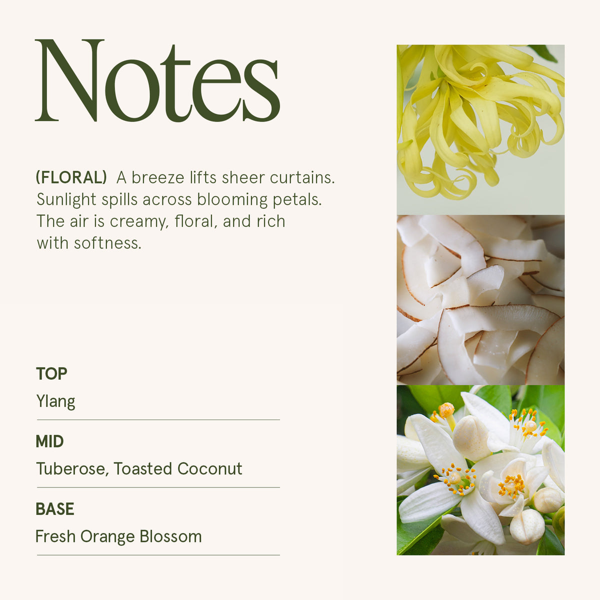 Maelyn - Champs de Tuberose 19oz Candle Candles 4_f5a574e1-a05f-4688-a130-ee66ade50b66 La Jolie Muse
