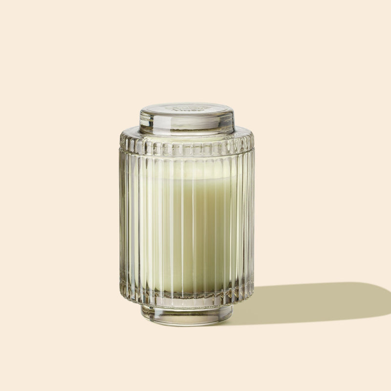 Product Shot of Amélie - Kyoto Vine & Moss 7oz candle in the middle