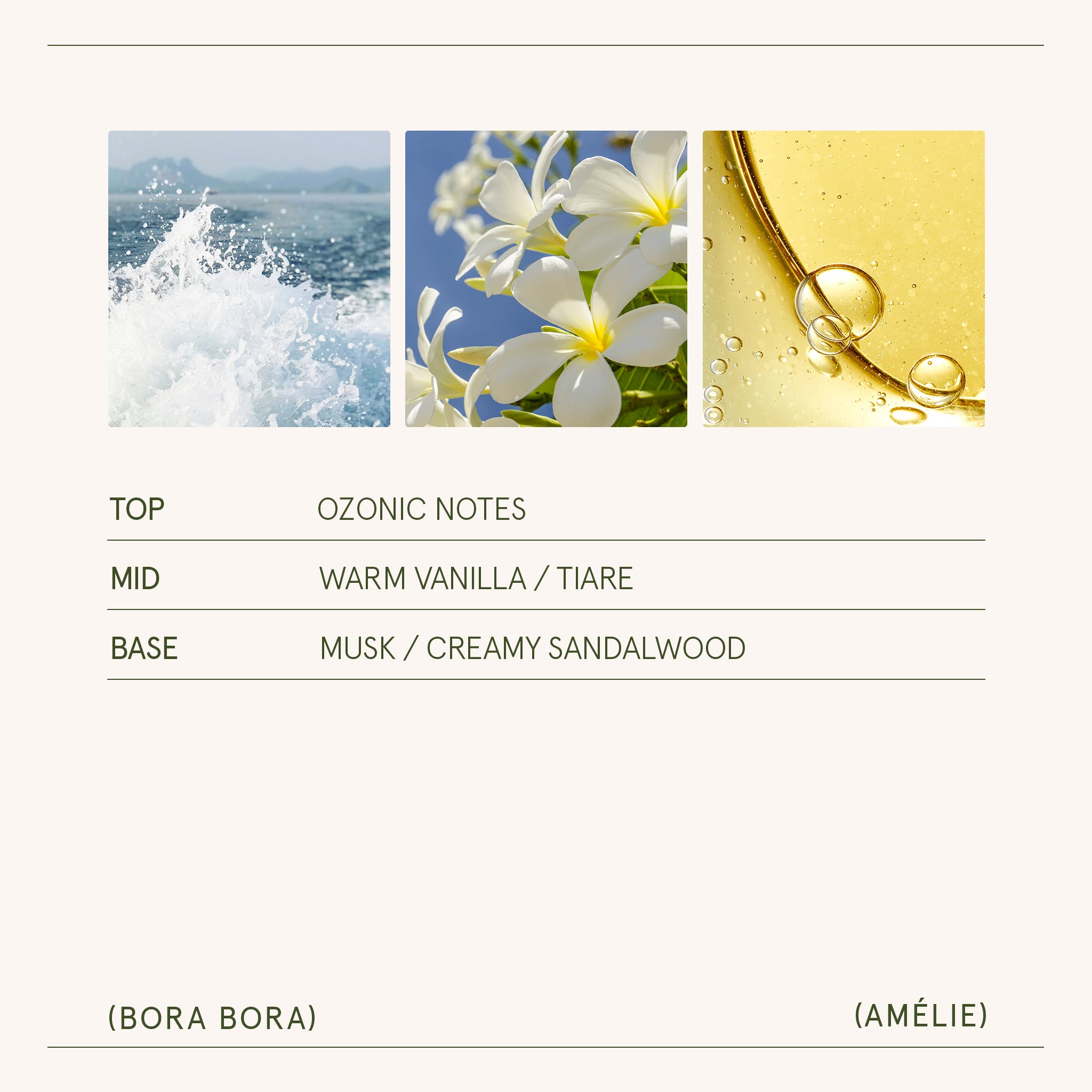 Amélie – Bora Bora Candle Amelie_BoraBora_PDP_19oz_5 LA JOLIE MUSE