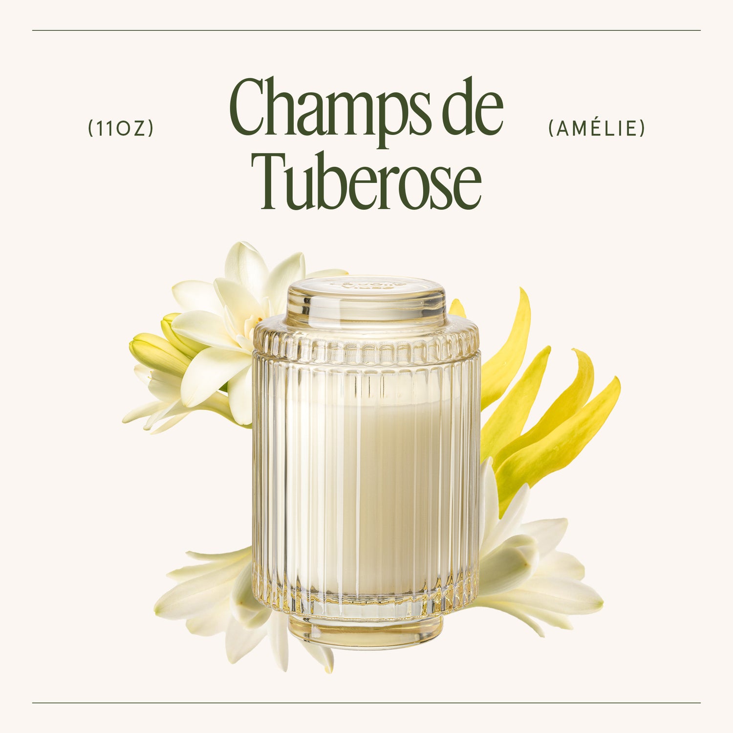 Amélie – Champs de Tuberose Candle Amelie_ChampsdeTuberose_PDP_11oz_3 LA JOLIE MUSE