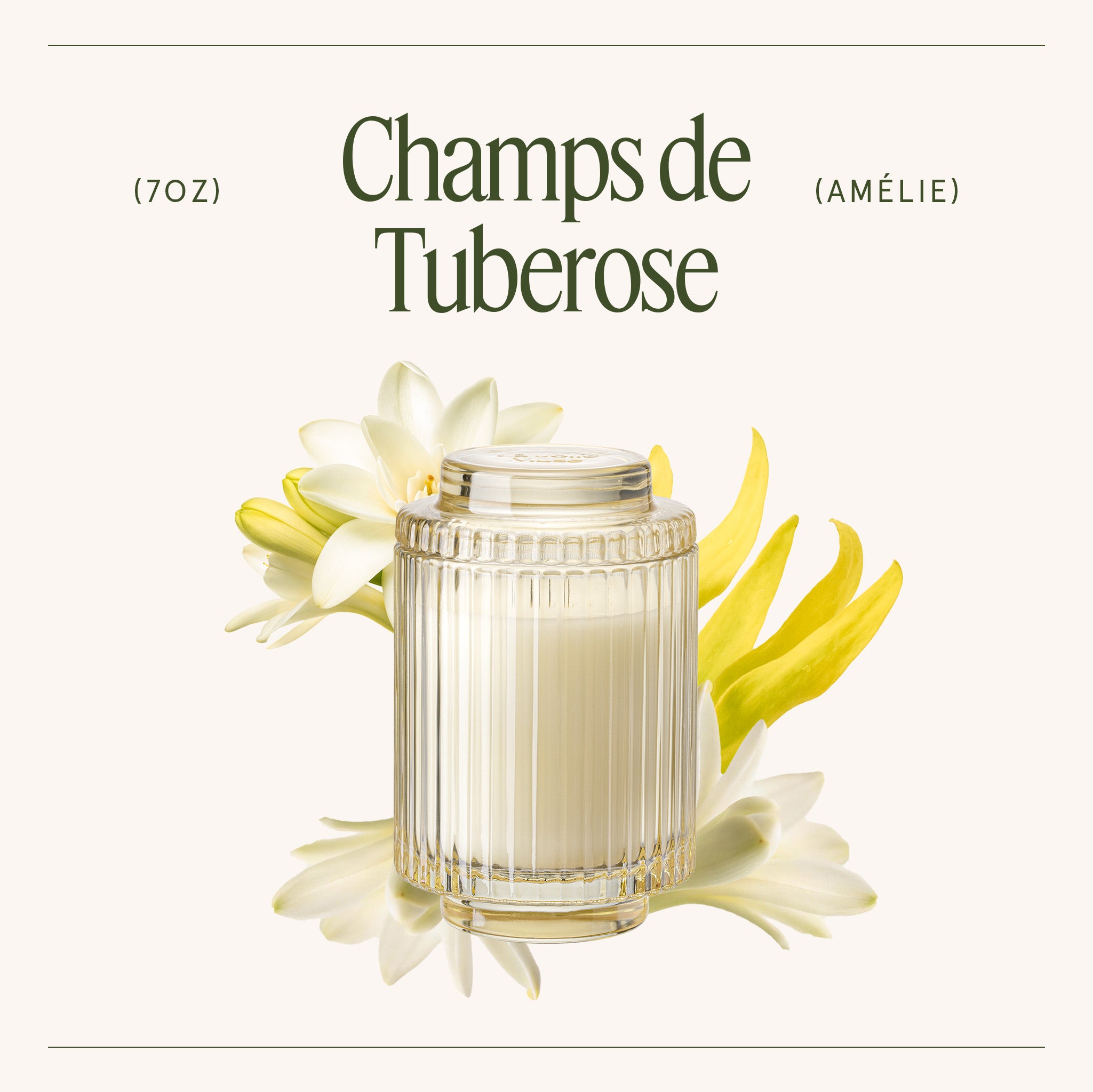 Amélie – Champs de Tuberose Candle Amelie_ChampsdeTuberose_PDP_7oz_3 LA JOLIE MUSE