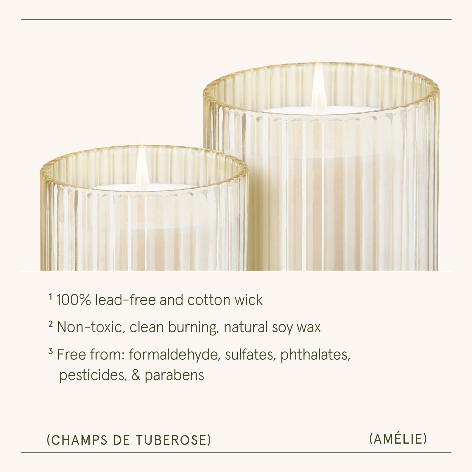 Amélie – Champs de Tuberose Candle Amelie_ChampsdeTuberose_PDP_7oz_4 LA JOLIE MUSE