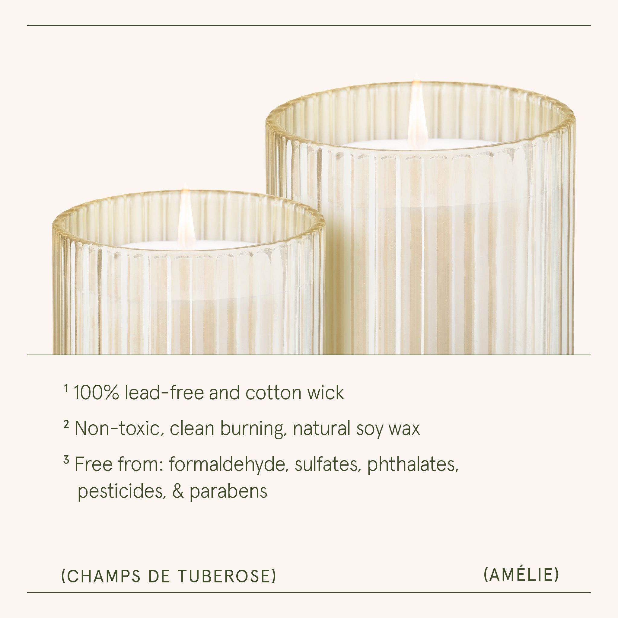 Amélie – Champs de Tuberose Candle Amelie_ChampsdeTuberose_PDP_7oz_4 LA JOLIE MUSE