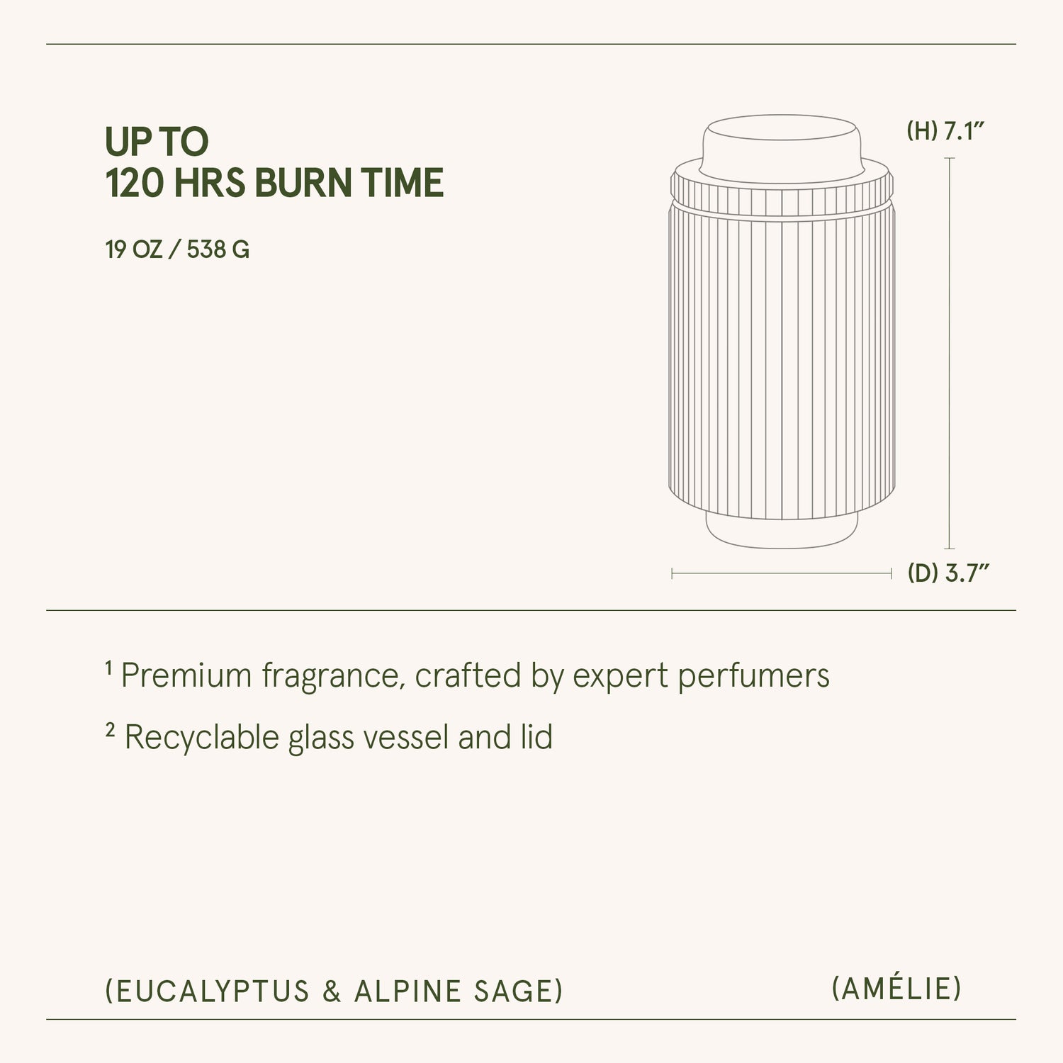 Amélie – Eucalyptus & Alpine Sage Candle Amelie_EucalyptusAlpineSage_PDP_19oz_6 LA JOLIE MUSE