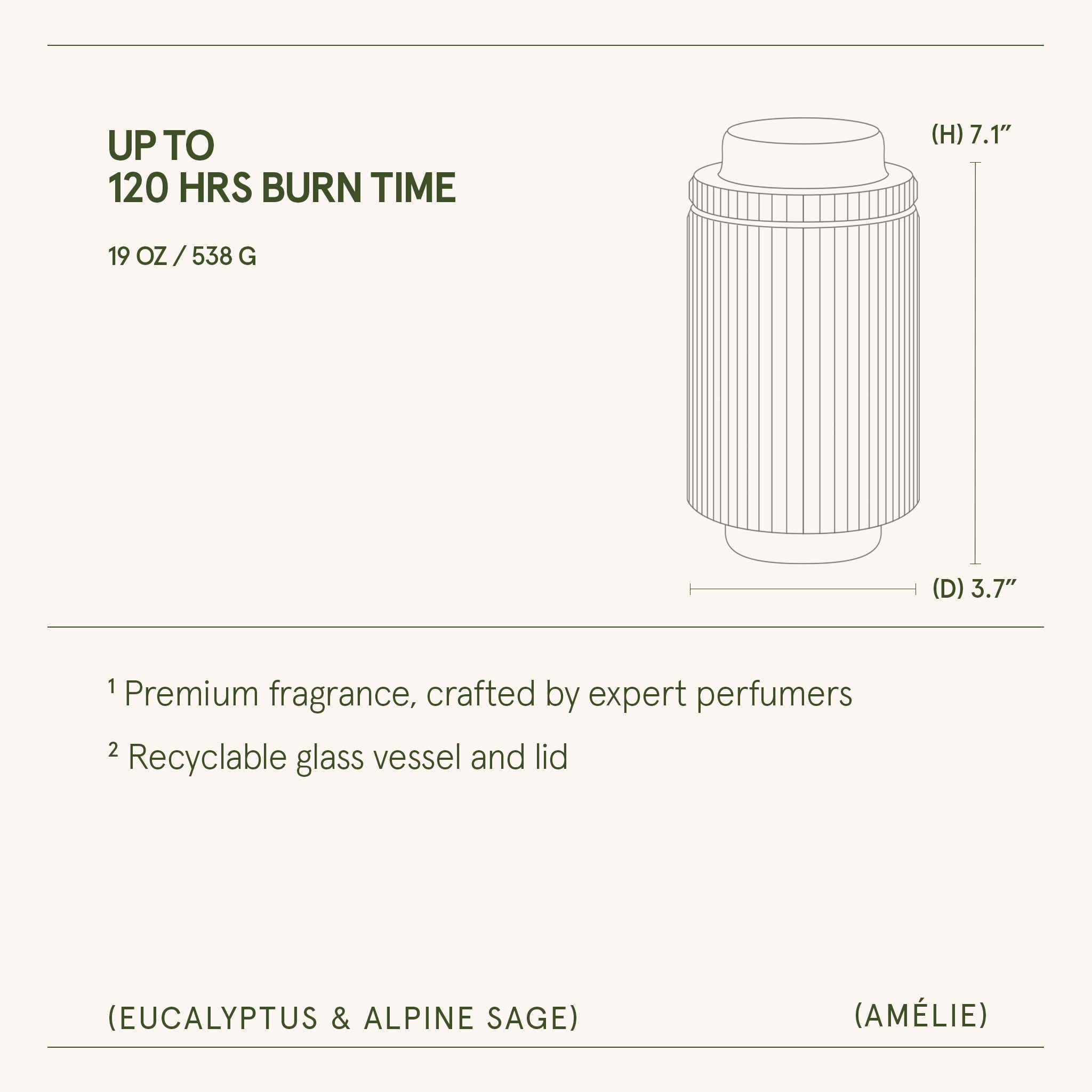 Amélie – Eucalyptus & Alpine Sage Candle Amelie_EucalyptusAlpineSage_PDP_19oz_6 LA JOLIE MUSE