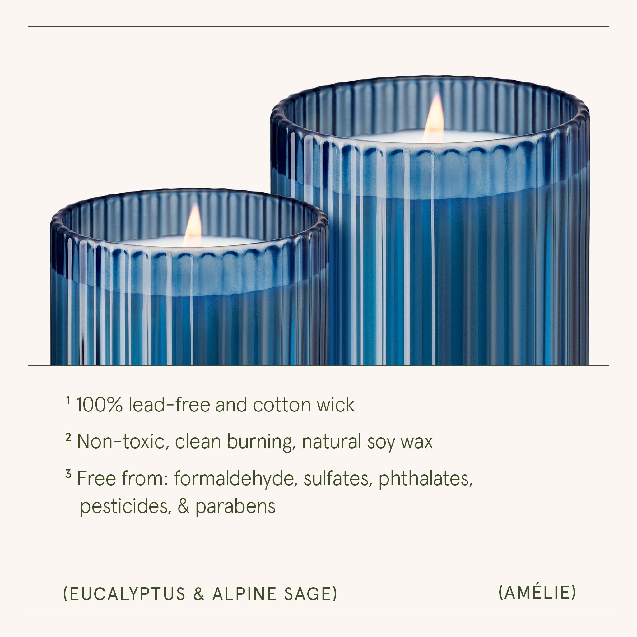 Amélie – Eucalyptus & Alpine Sage Candle Amelie_EucalyptusAlpineSage_PDP_7oz_4 LA JOLIE MUSE