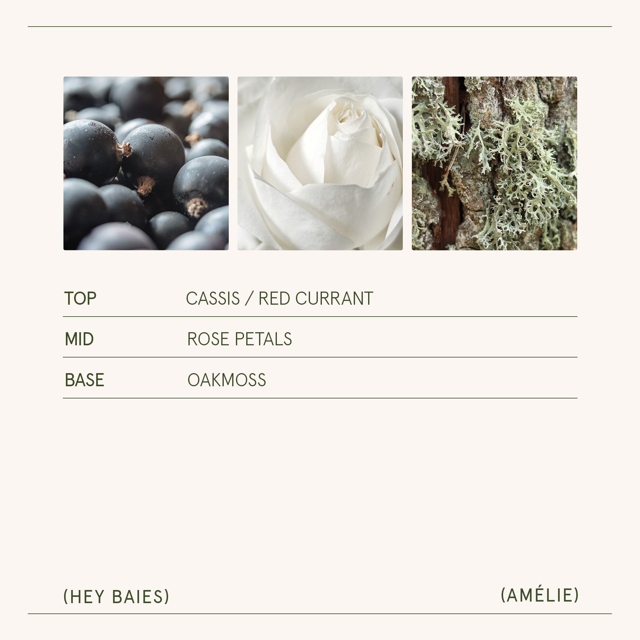 Amélie – Hey Baies Candle Amelie_HeyBaies_PDP_11oz_5 LA JOLIE MUSE