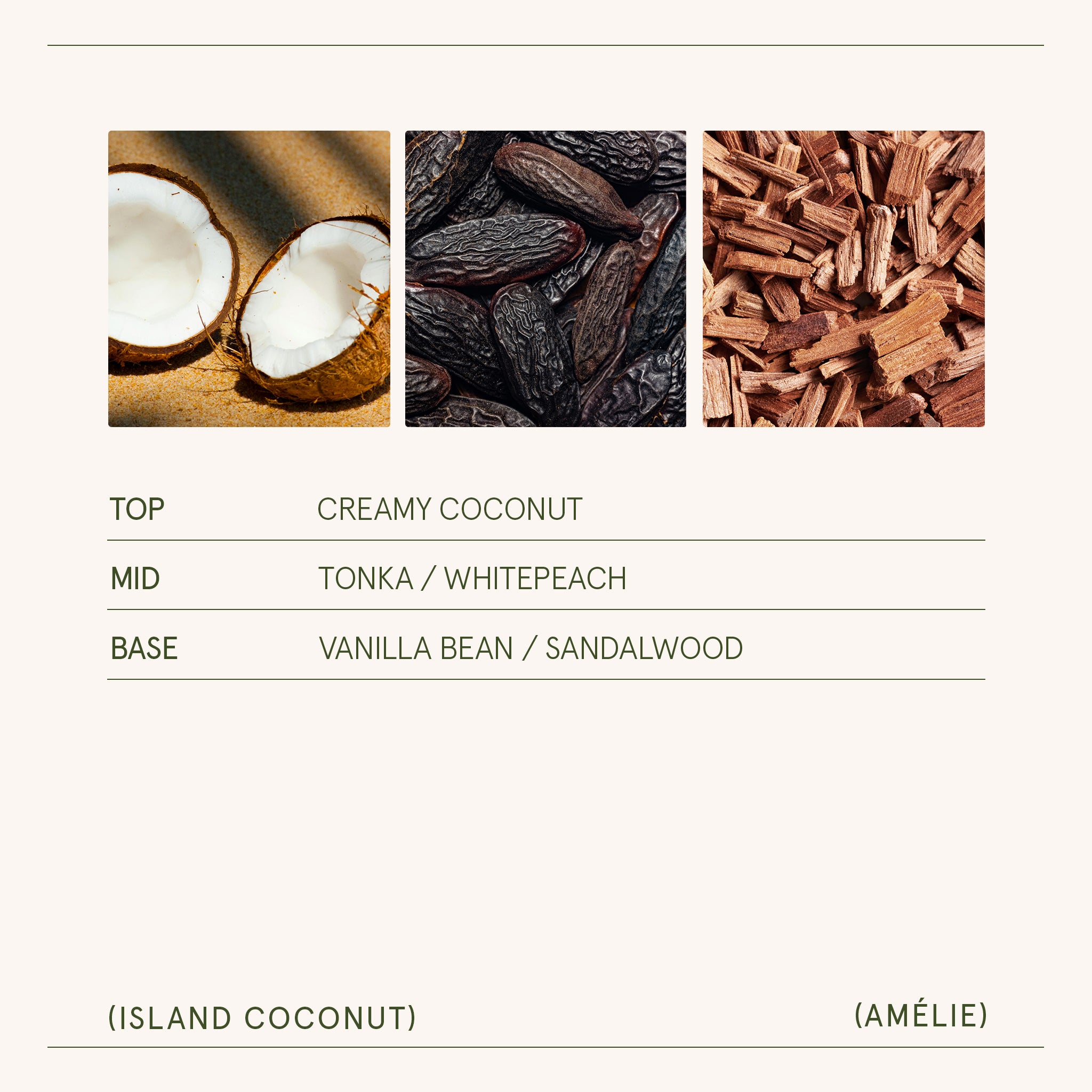 Amélie – Island Coconut Candle Amelie_IslandCoconut_PDP_11oz_5 LA JOLIE MUSE