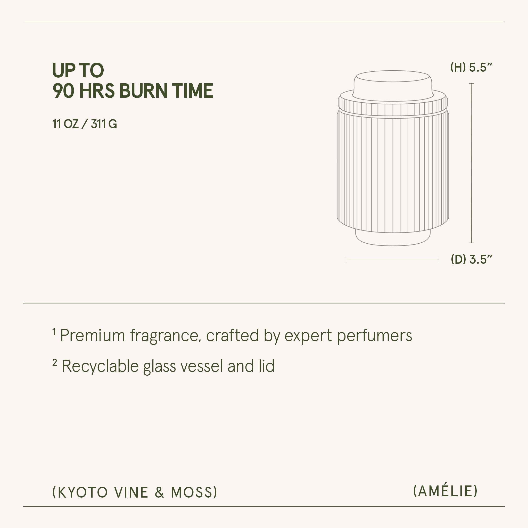 Amélie– Kyoto Vine & Moss Candle Amelie_KyotoVineMoss_PDP_11oz_6 LA JOLIE MUSE