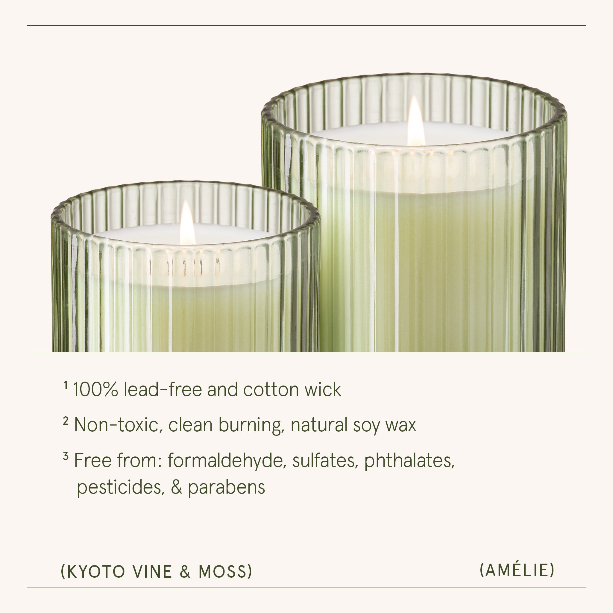 Amélie– Kyoto Vine & Moss Candle Amelie_KyotoVineMoss_PDP_7oz_4 LA JOLIE MUSE