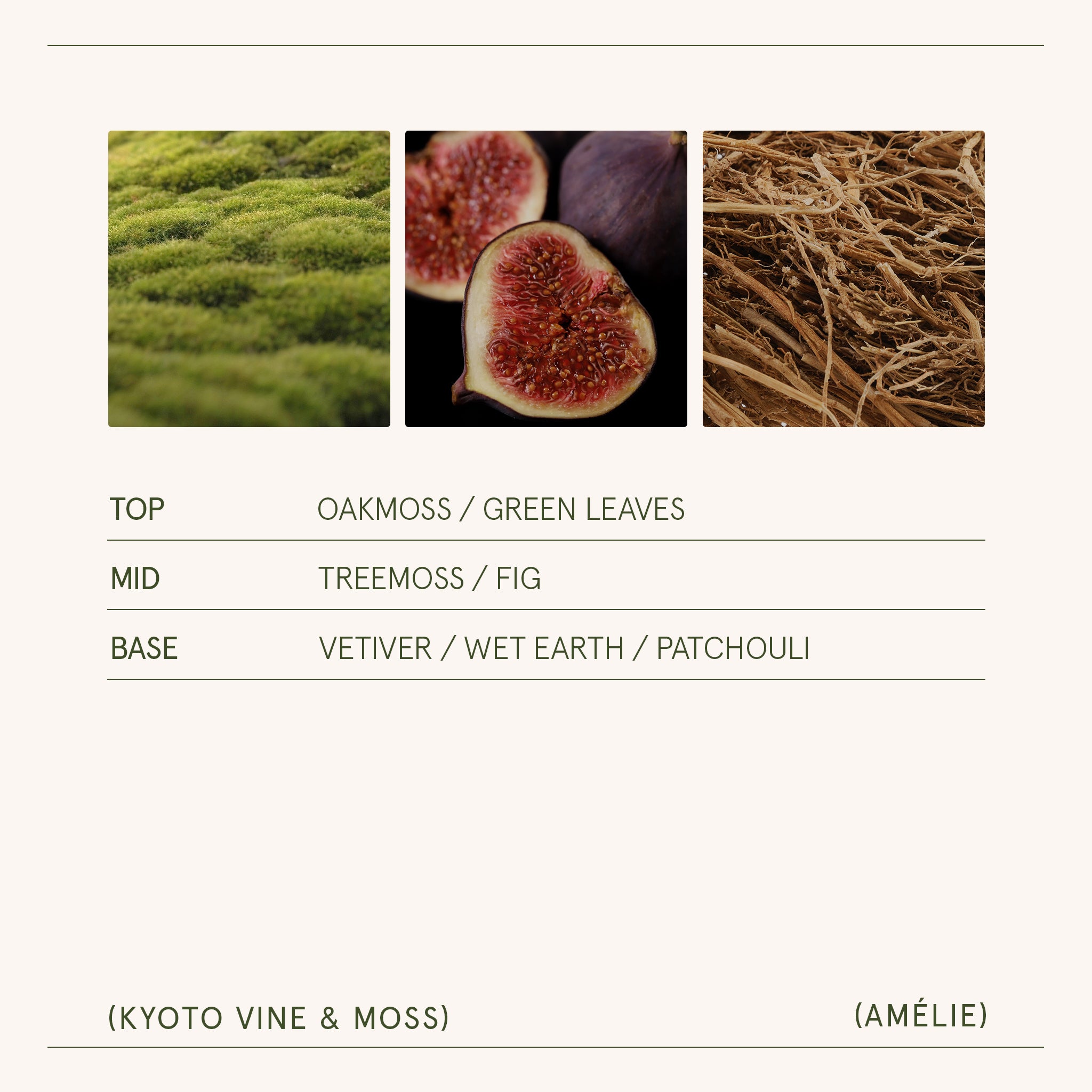 Amélie– Kyoto Vine & Moss Candle Amelie_KyotoVineMoss_PDP_7oz_5 LA JOLIE MUSE