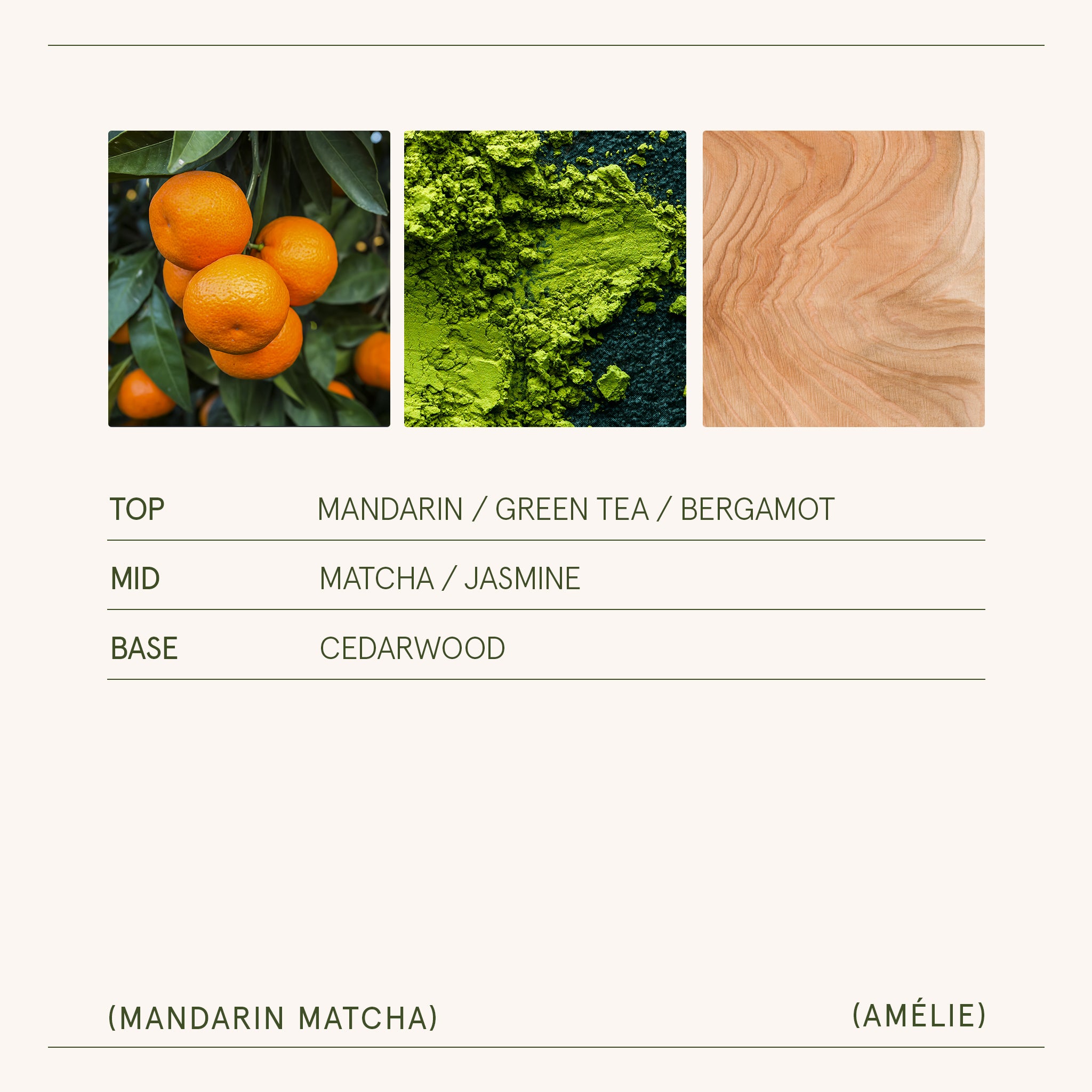 Amélie – Mandarin Matcha Candle Amelie_MandarinMatcha_PDP_19oz_5 LA JOLIE MUSE