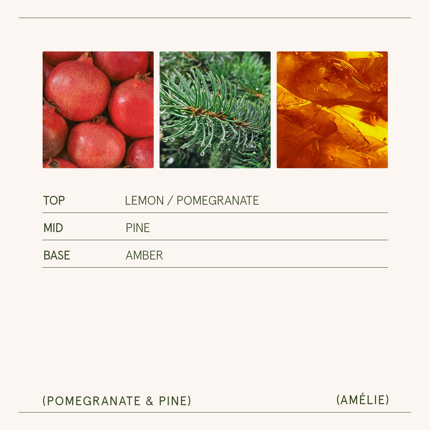 Amélie – Pomegranate & Pine Candle Amelie_PomegranatePine_PDP_11oz_5 LA JOLIE MUSE