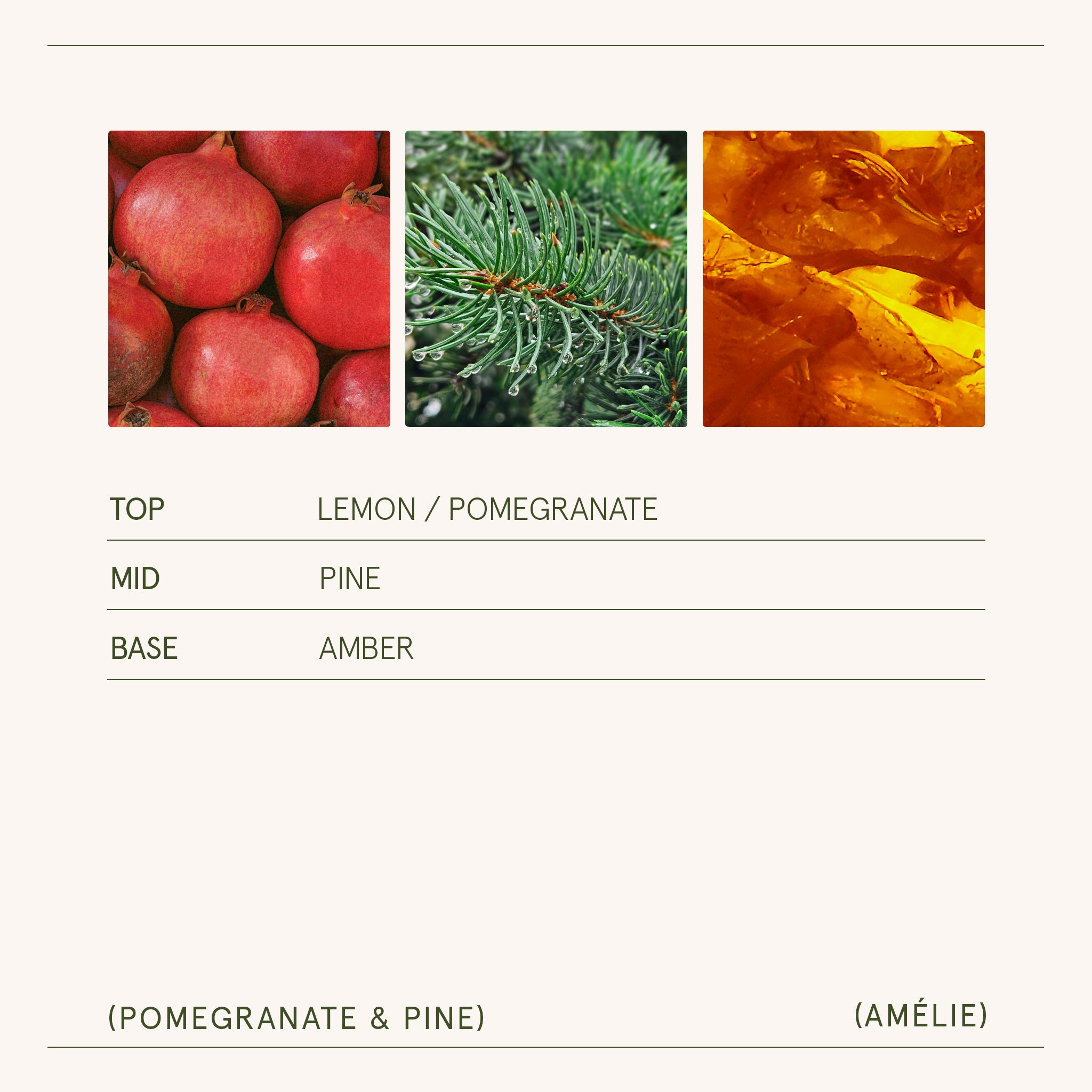 Amélie – Pomegranate & Pine Candle Amelie_PomegranatePine_PDP_7oz_5 LA JOLIE MUSE