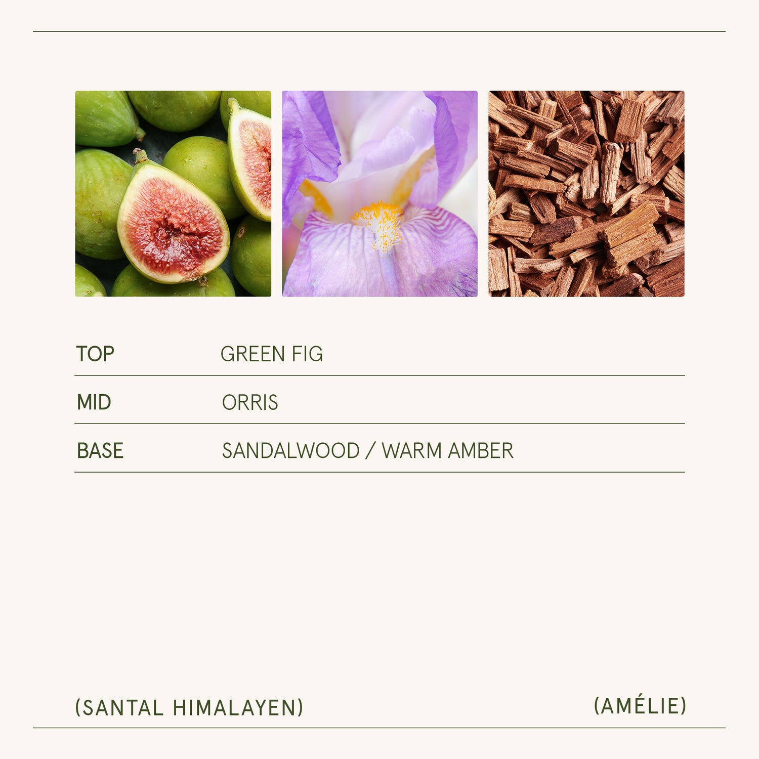 Amélie – Santal Himalayen Candle Amelie_SantalHimalayen_PDP_19oz_5 LA JOLIE MUSE