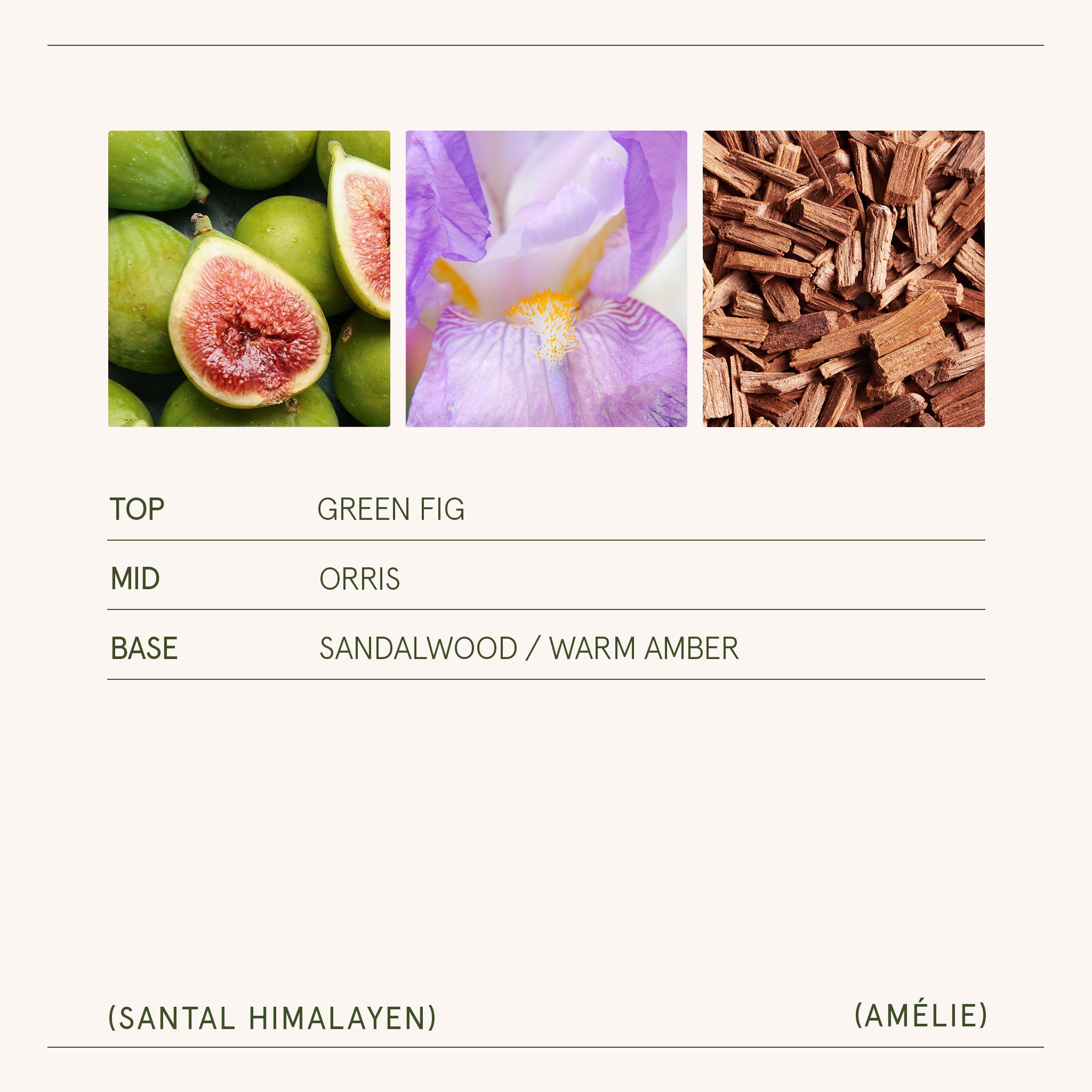 Amélie – Santal Himalayen Candle Amelie_SantalHimalayen_PDP_19oz_5 LA JOLIE MUSE