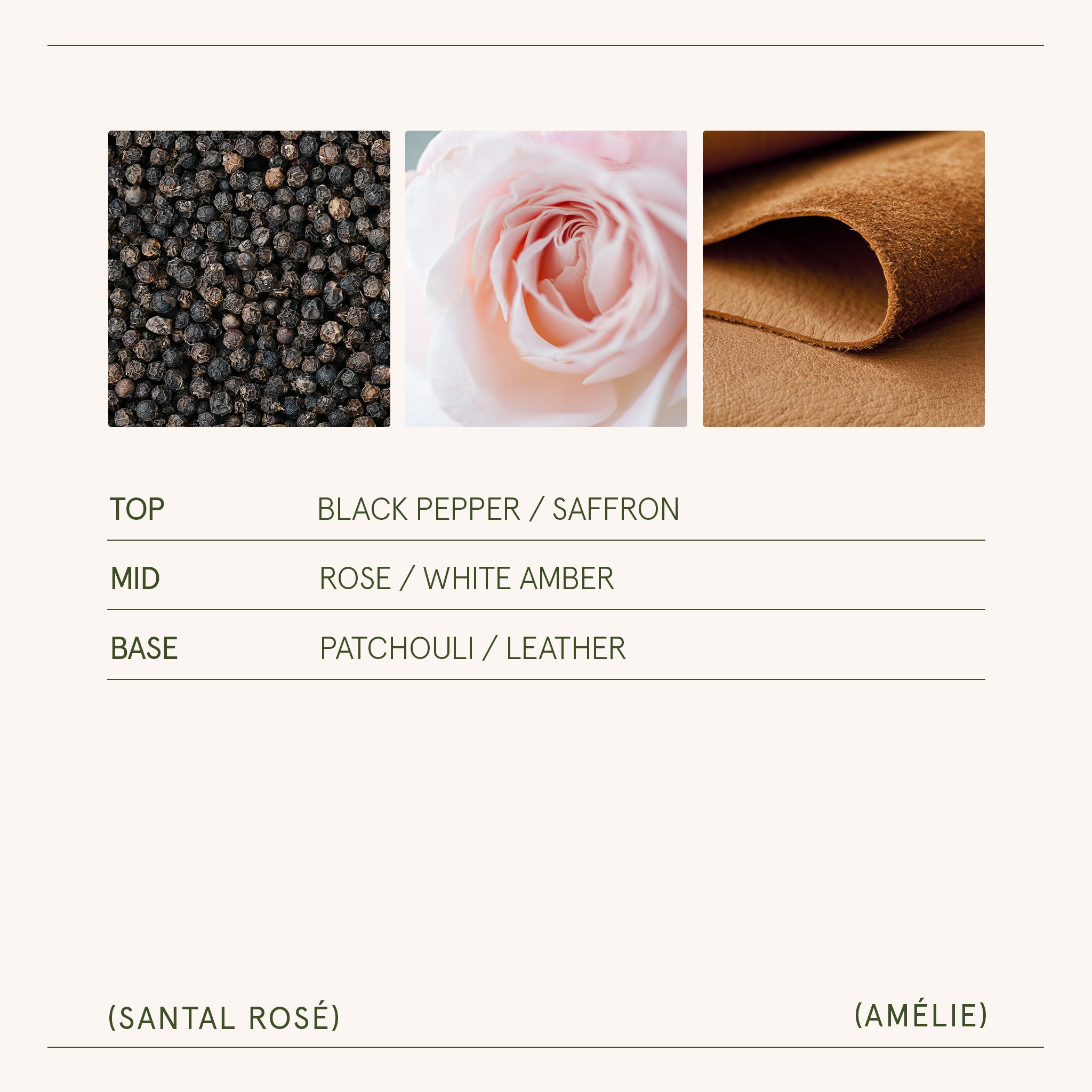 Amélie – Santal Rosé Candle Amelie_SantalRose_PDP_11oz_5 LA JOLIE MUSE
