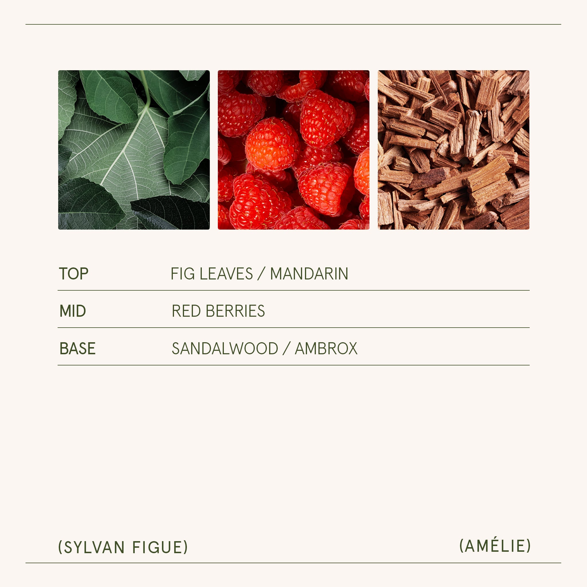 Amélie – Sylvan Figue Candle Amelie_SylvanFigue_PDP_11oz_5 LA JOLIE MUSE