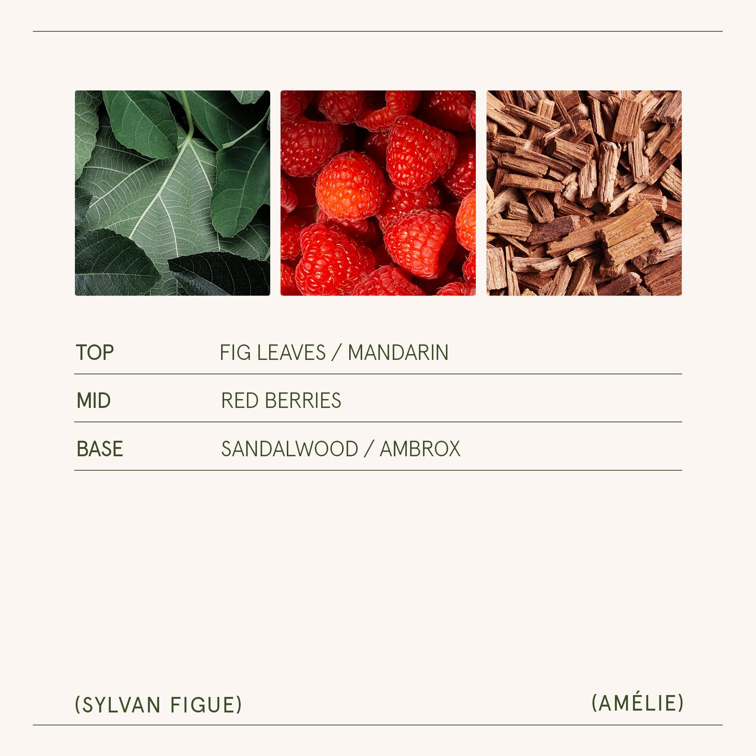 Amélie – Sylvan Figue Candle Amelie_SylvanFigue_PDP_7oz_5 LA JOLIE MUSE