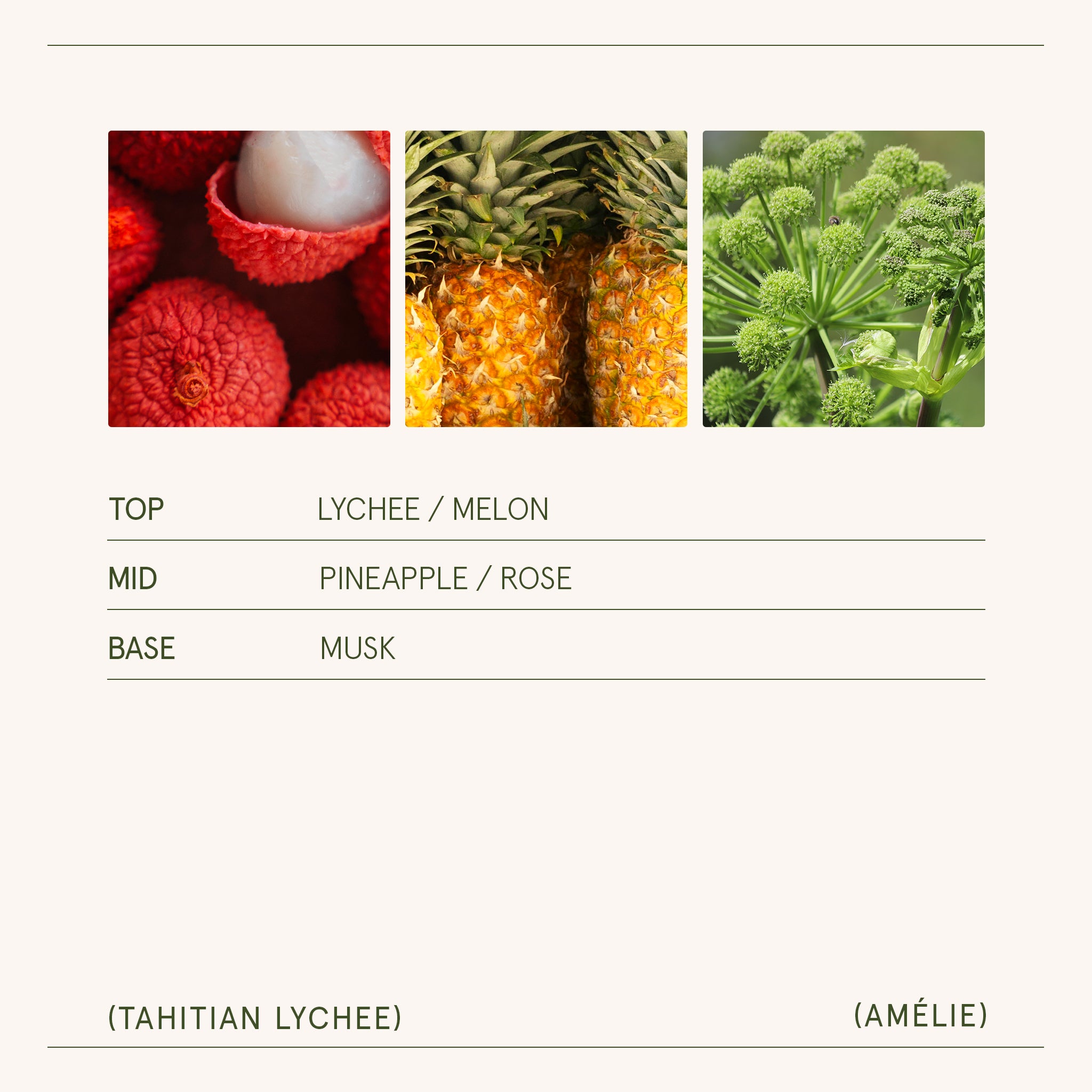 Amélie – Tahitian Lychee Candle Amelie_TahitianLychee_PDP_11oz_5 LA JOLIE MUSE