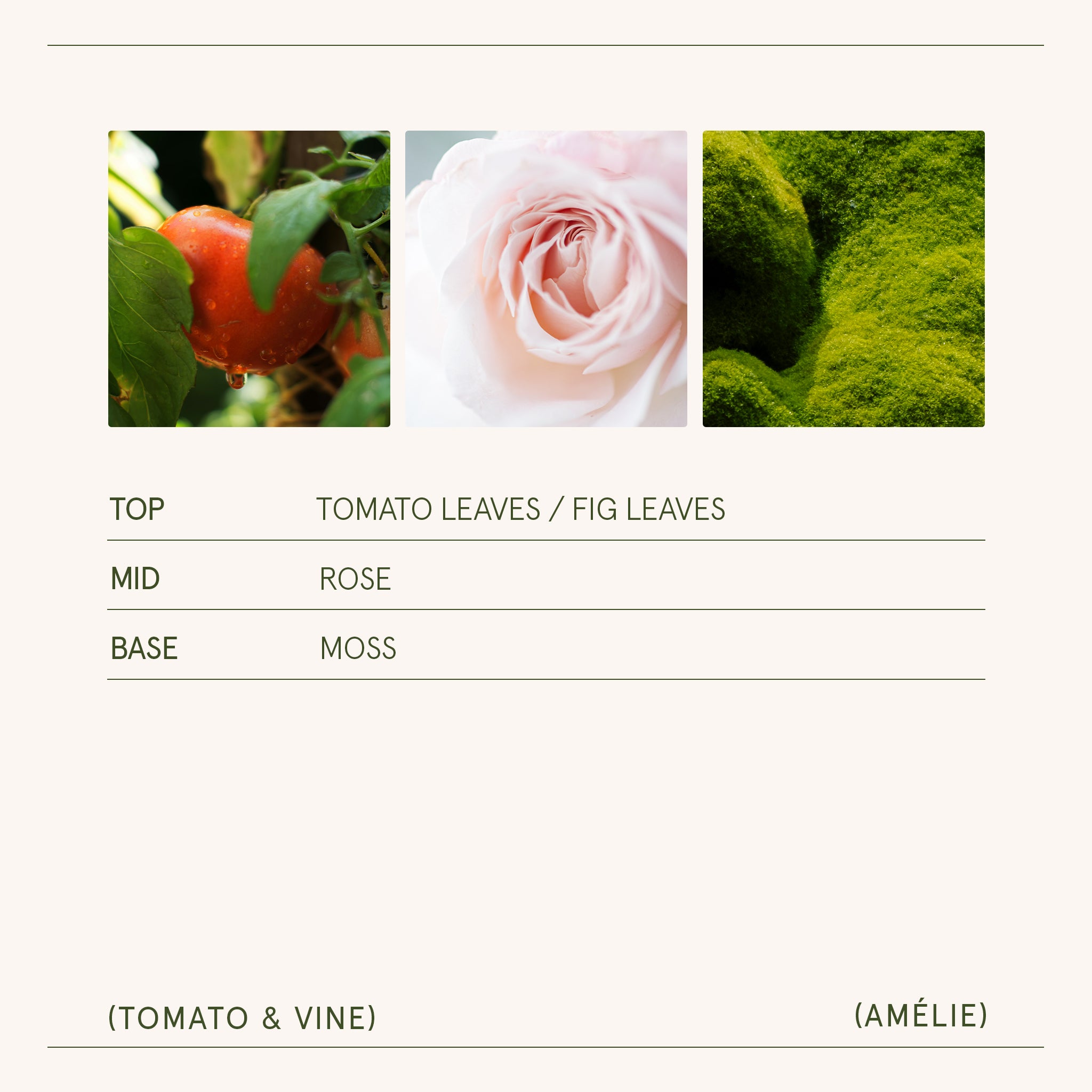 Amélie – Tomato & Vine Candle Amelie_TomatoVine_PDP_11oz_5 LA JOLIE MUSE