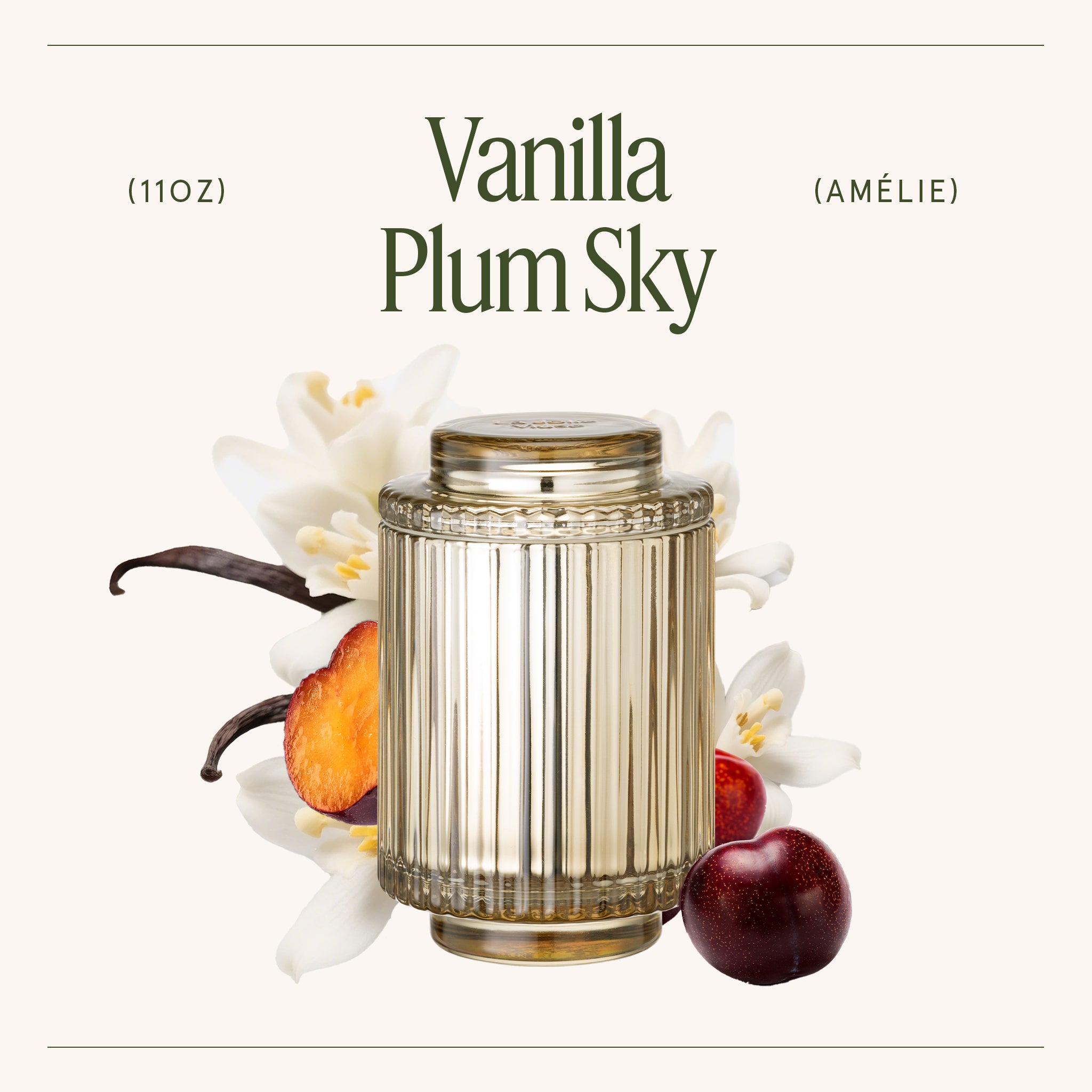 Amélie – Vanilla Plum Sky 11oz Candle Amelie_VanillaPlumSky_PDP_11oz_3 LA JOLIE MUSE