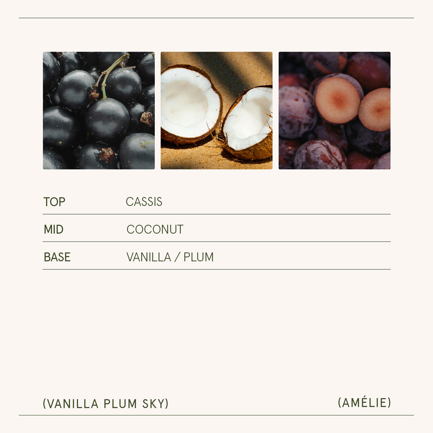 Amélie – Vanilla Plum Sky 11oz Candle Amelie_VanillaPlumSky_PDP_11oz_5 LA JOLIE MUSE
