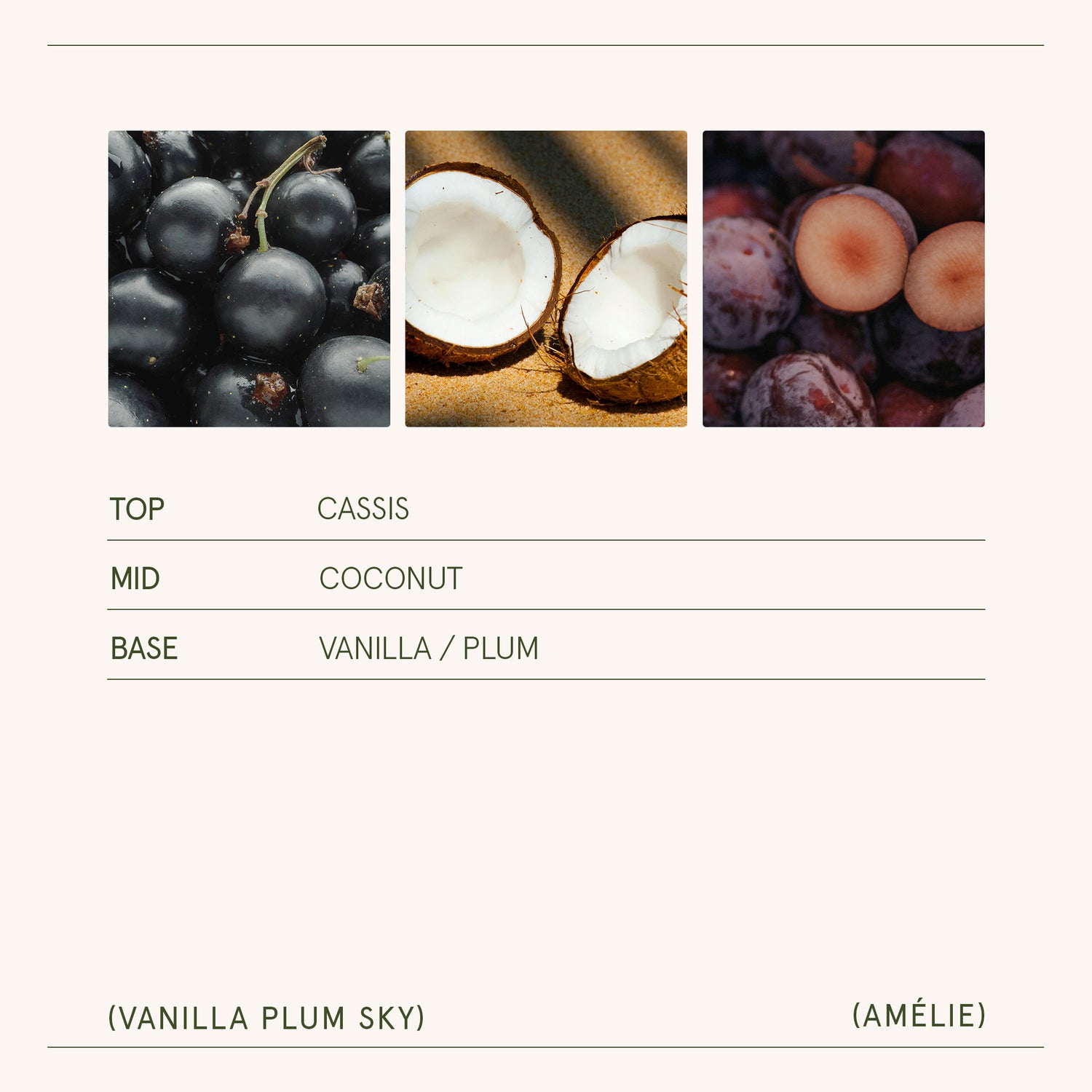 Amélie – Vanilla Plum Sky 3oz Candle Amelie_VanillaPlumSky_PDP_3oz_5 LA JOLIE MUSE
