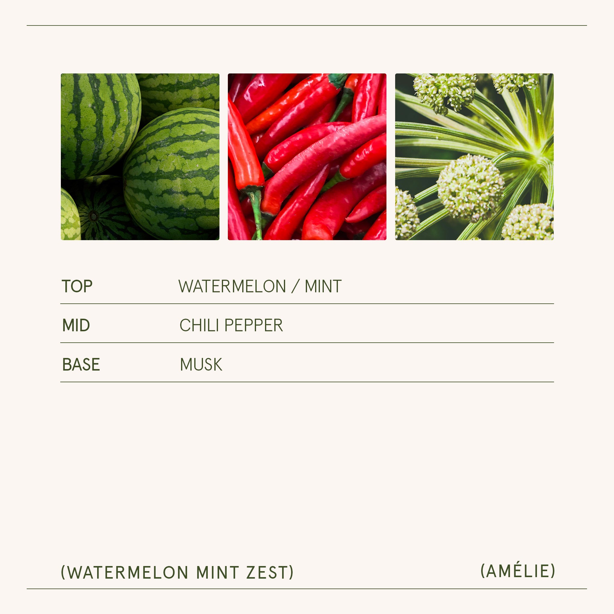 Amélie – Watermelon Mint Zest Candle Amelie_WatermelonMintZest_PDP_11oz_5 LA JOLIE MUSE