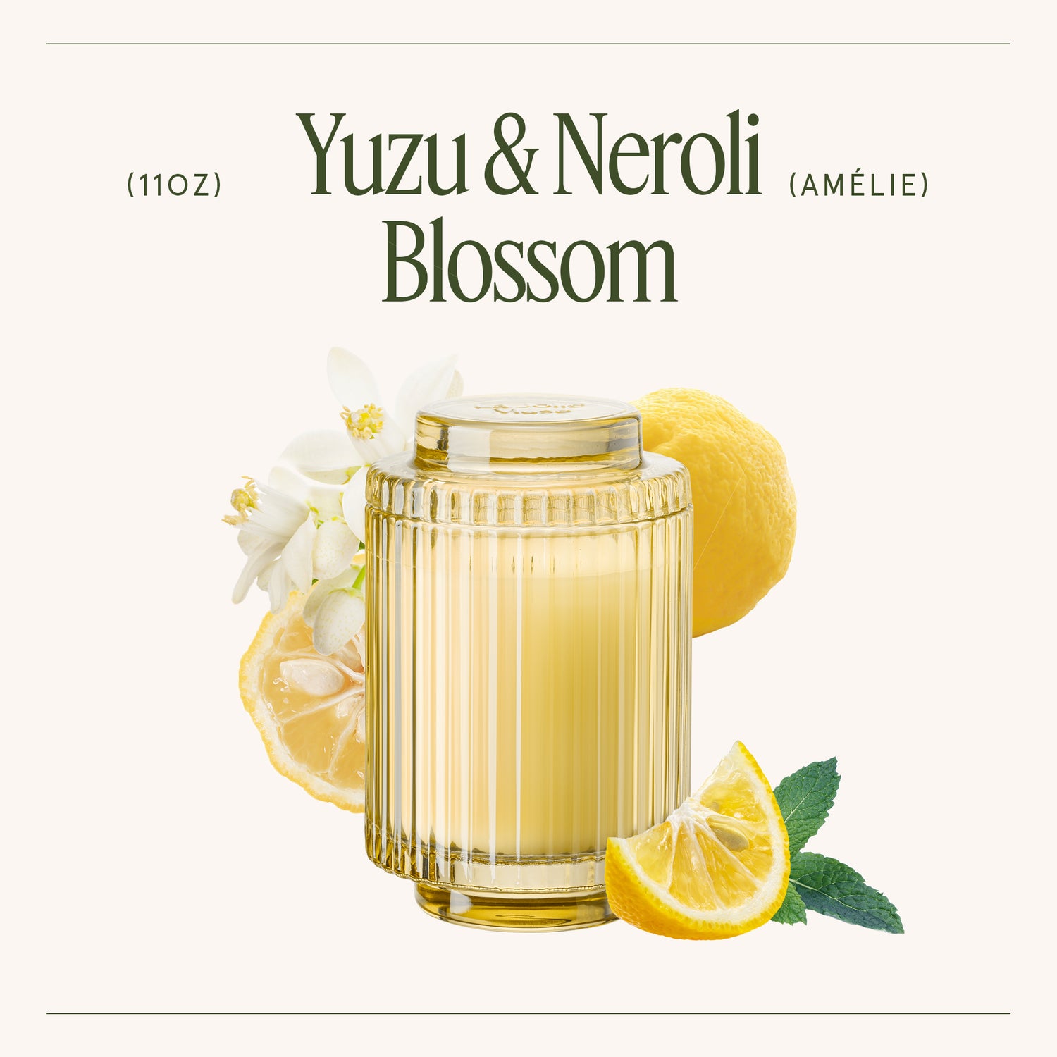 Amélie – Yuzu & Neroli Blossom Candle Amelie_YuzuNeroliBlossom_PDP_11oz_3_e4f036f9-e965-4992-9d5a-56604ca0d9dc LA JOLIE MUSE