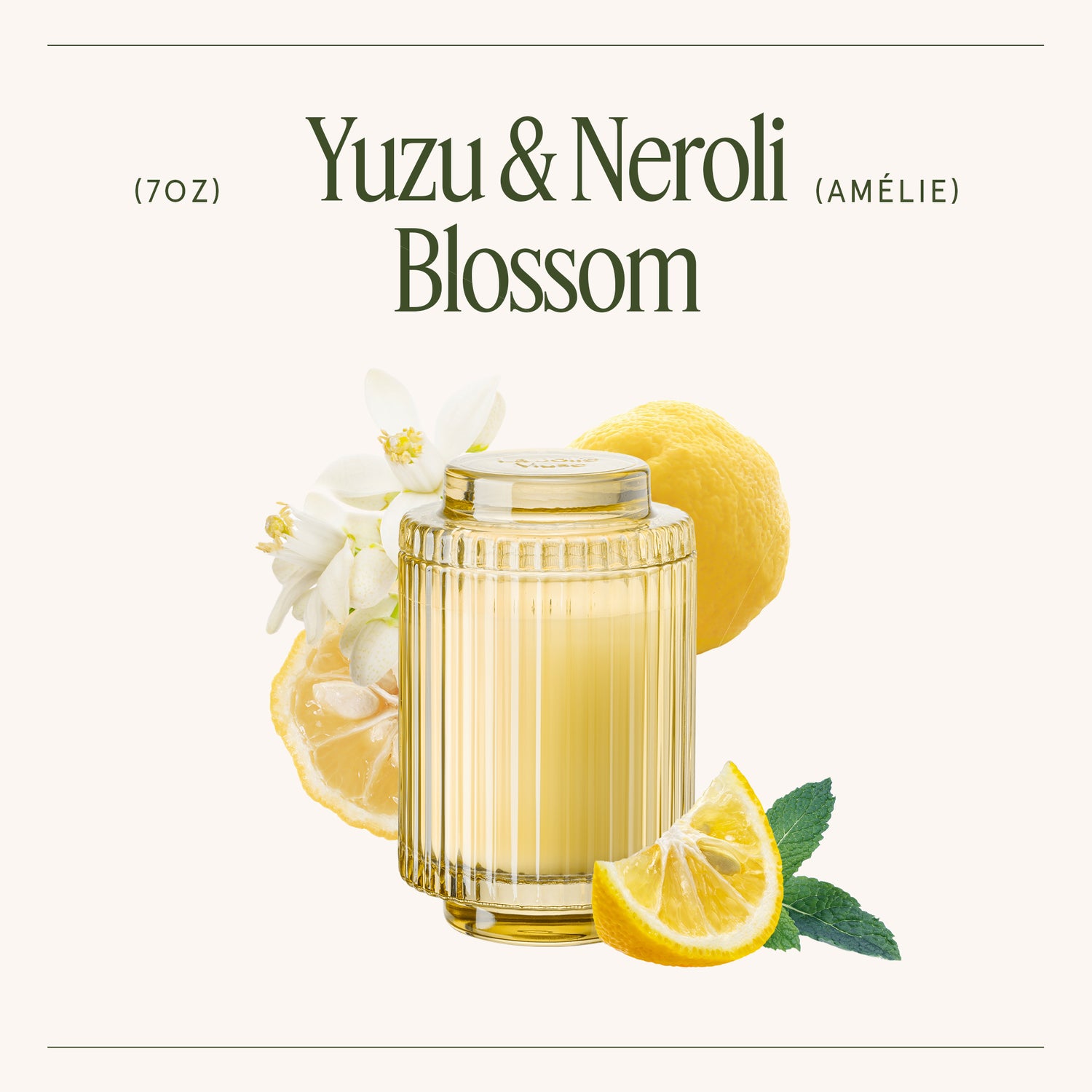Amélie – Yuzu & Neroli Blossom Candle Amelie_YuzuNeroliBlossom_PDP_7oz_3_161d6619-14fc-47cc-a571-55da42253880 LA JOLIE MUSE
