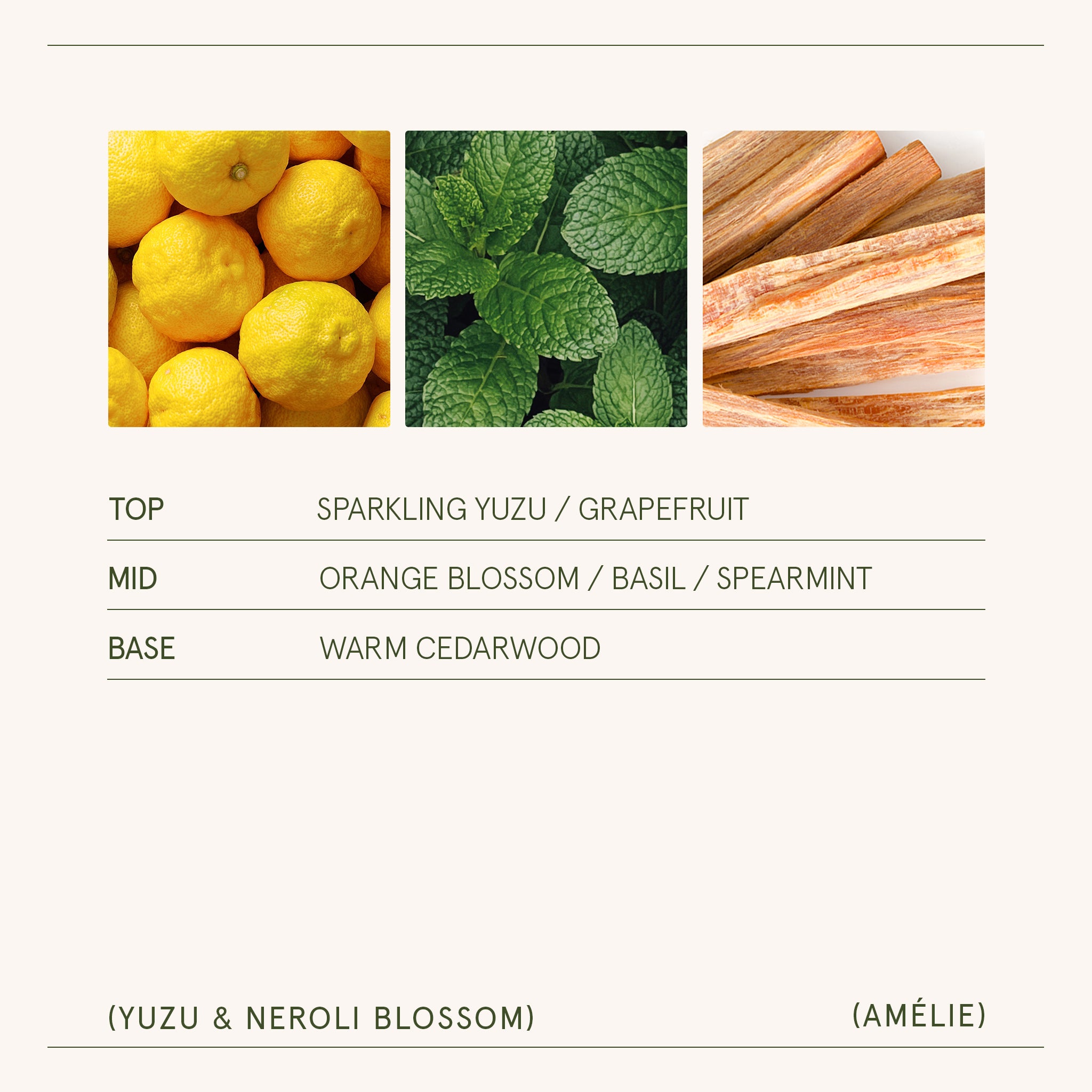 Amélie – Yuzu & Neroli Blossom Candle