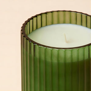 Detailed shot of open Amélie - Fir & Cedarwood 12.3oz candle