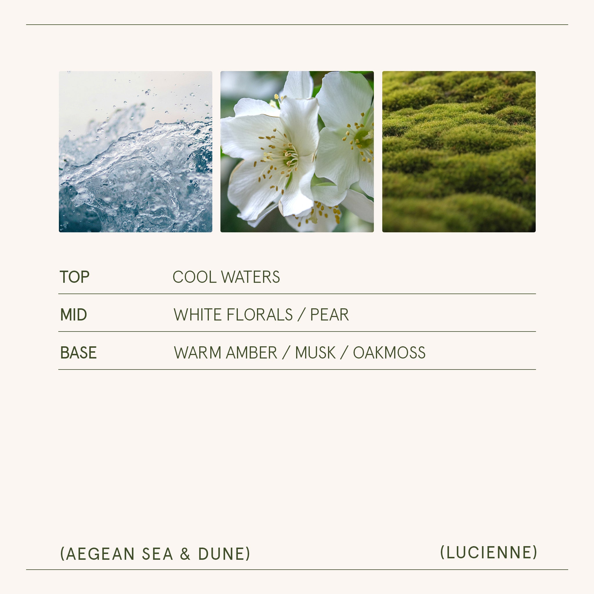 Lucienne - Aegean Sea & Dune Candle Lucienne_AegeanSeaDune_PDP_15oz_5 LA JOLIE MUSE