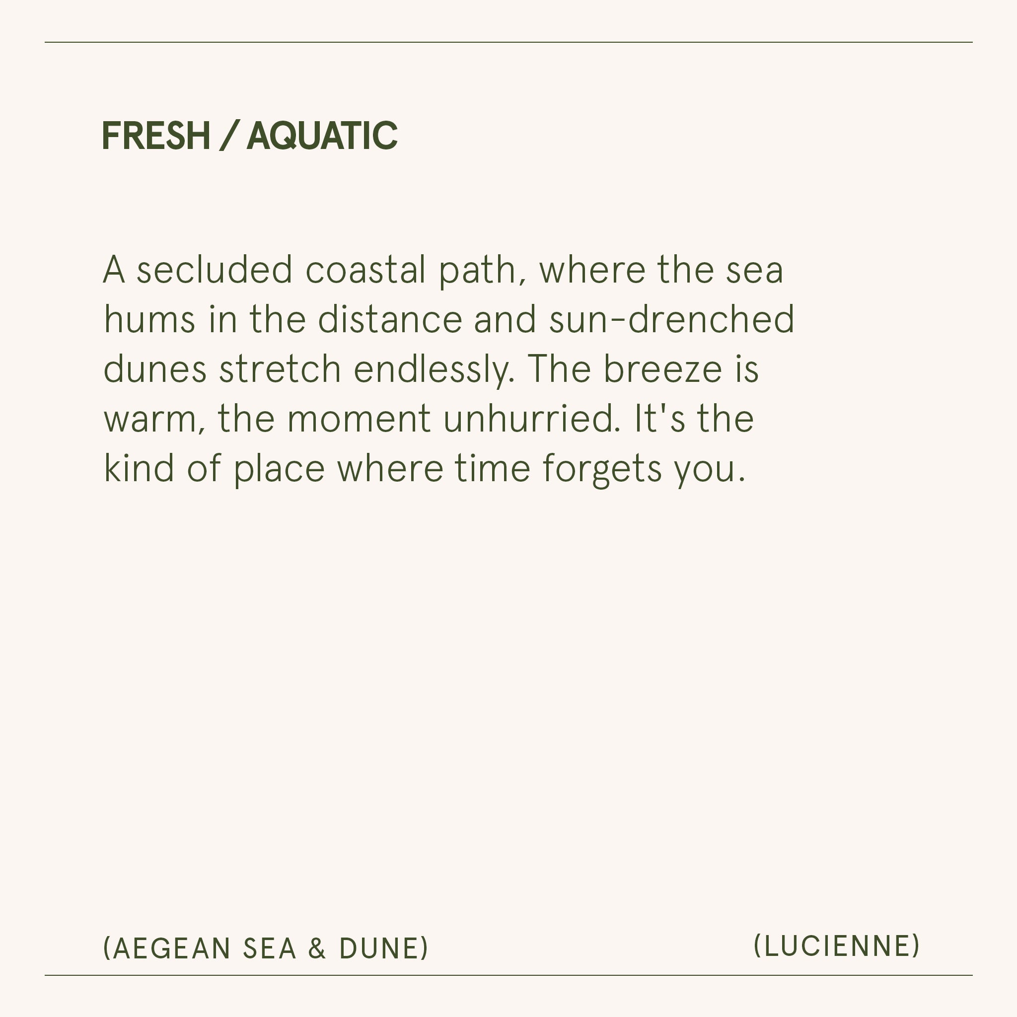 Lucienne - Aegean Sea & Dune Candle Lucienne_AegeanSea_Dune_PDP_8oz_7 LA JOLIE MUSE