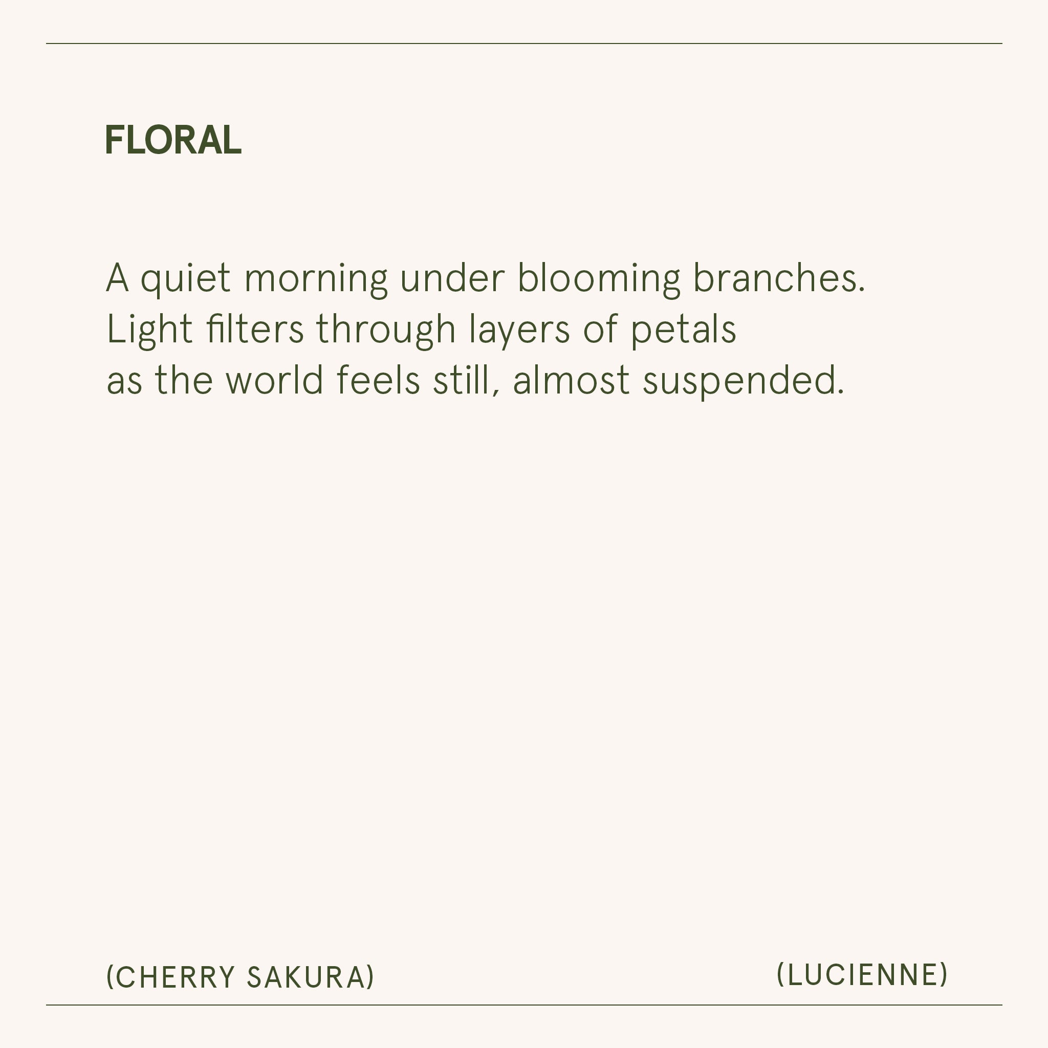 Lucienne - Cherry Sakura Candle Lucienne_CherrySakura_PDP_8oz_7 LA JOLIE MUSE