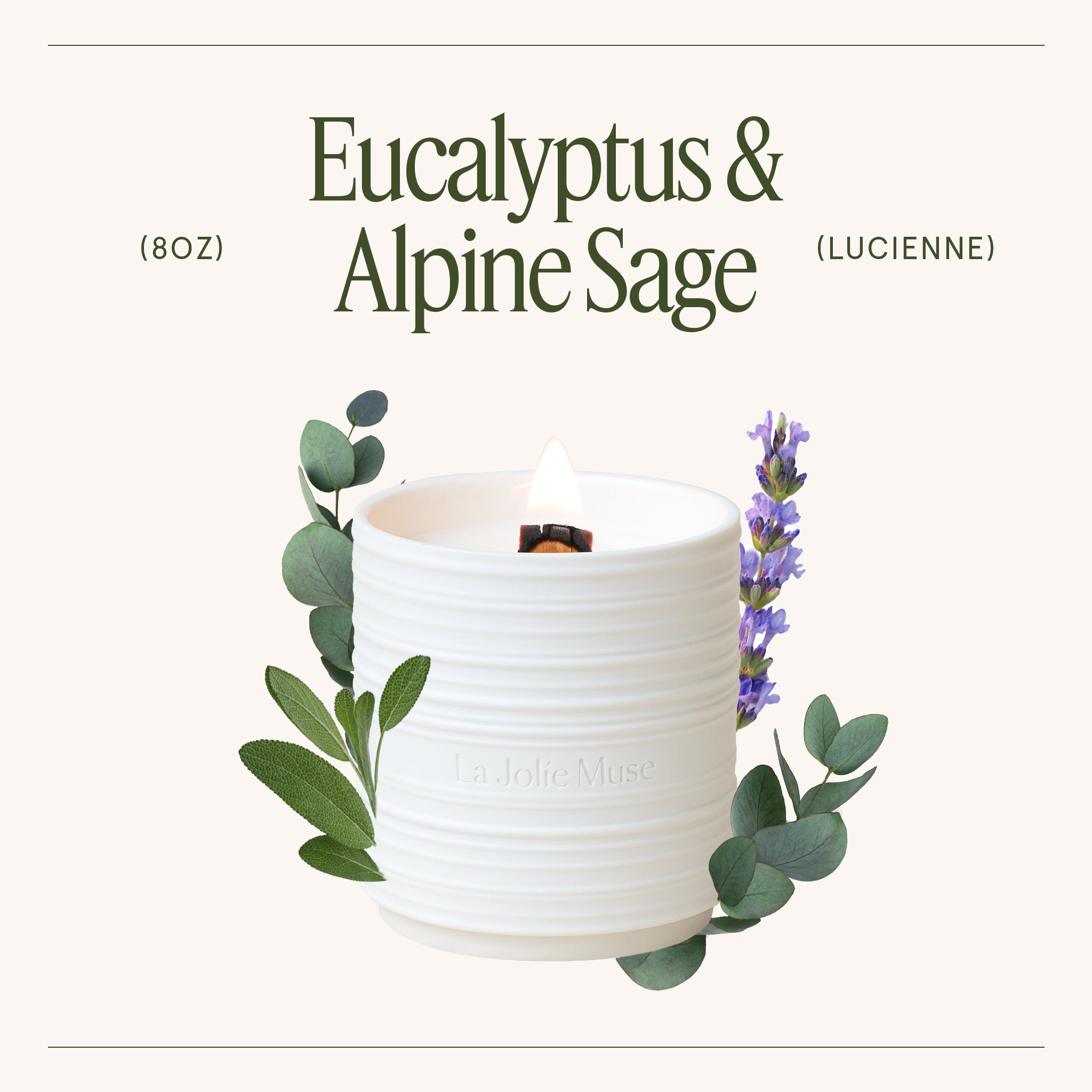 Lucienne - Eucalyptus & Alpine Sage Candle Lucienne_EucalyptusAlpine_PDP_8oz_3 LA JOLIE MUSE