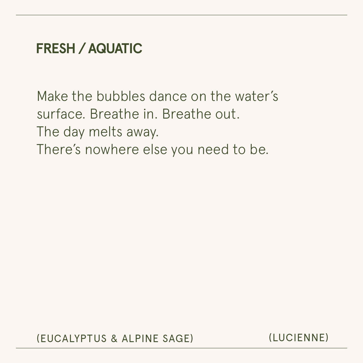 Lucienne - Eucalyptus & Alpine Sage Candle Lucienne_EucalyptusAlpine_PDP_8oz_7 LA JOLIE MUSE