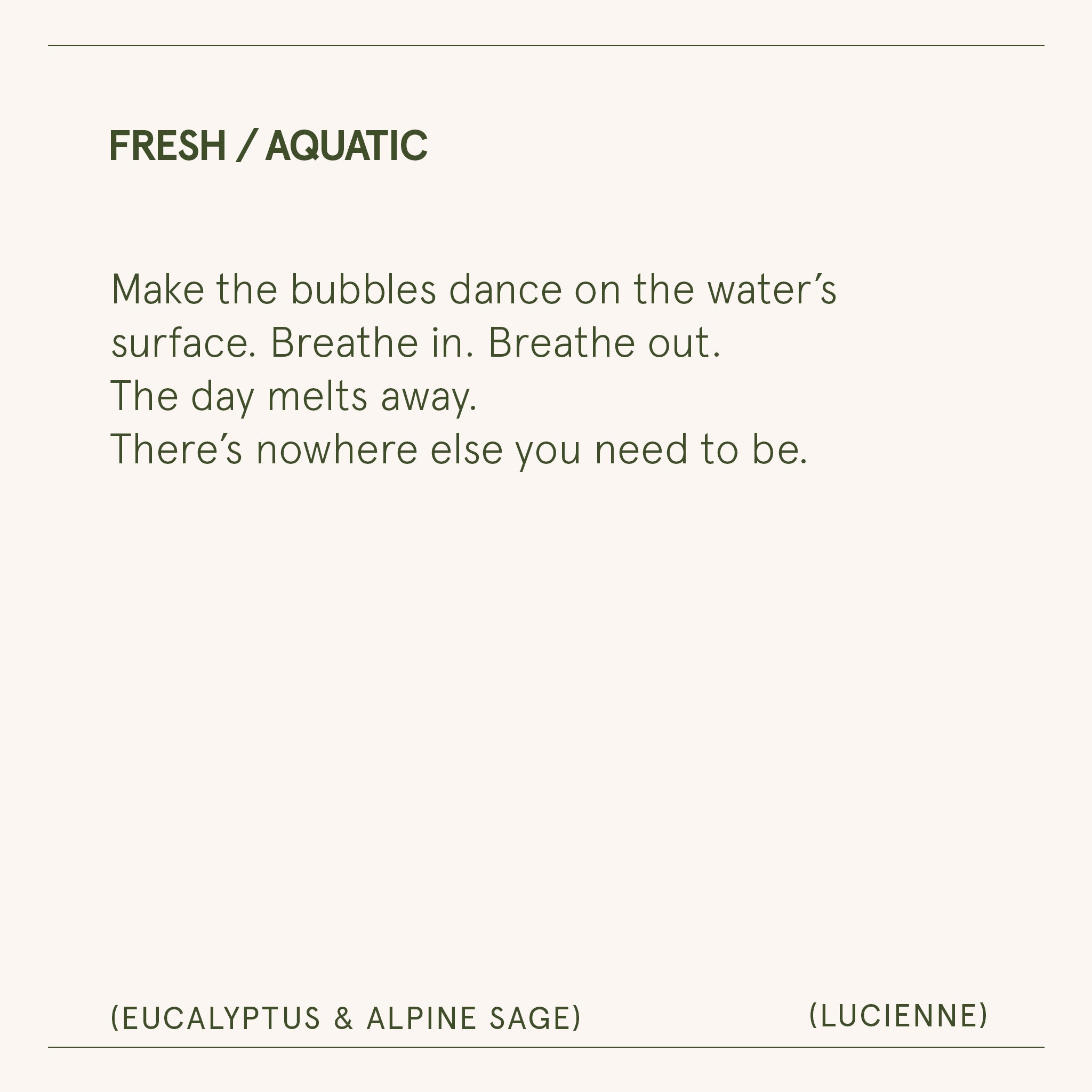 Lucienne - Eucalyptus & Alpine Sage Candle Lucienne_EucalyptusAlpine_PDP_8oz_7 LA JOLIE MUSE
