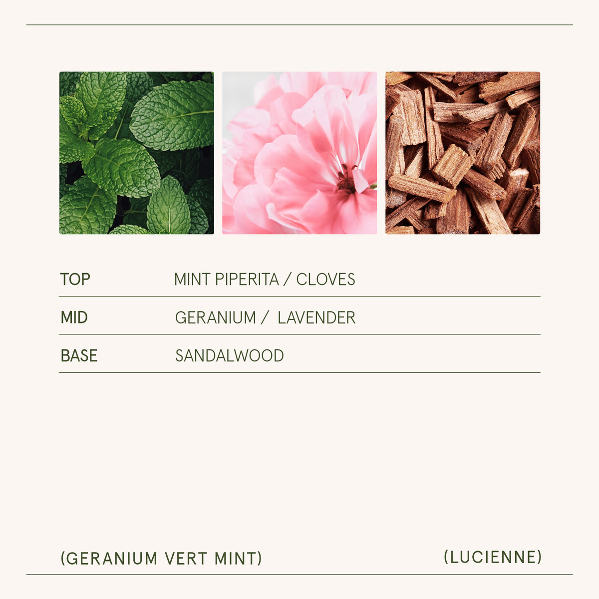 Lucienne - Geranium Vert Mint Candle Lucienne_GeraniumVertMint_PDP_15oz_5_0566db9d-e695-4dab-9a60-6d5e982c11ad LA JOLIE MUSE