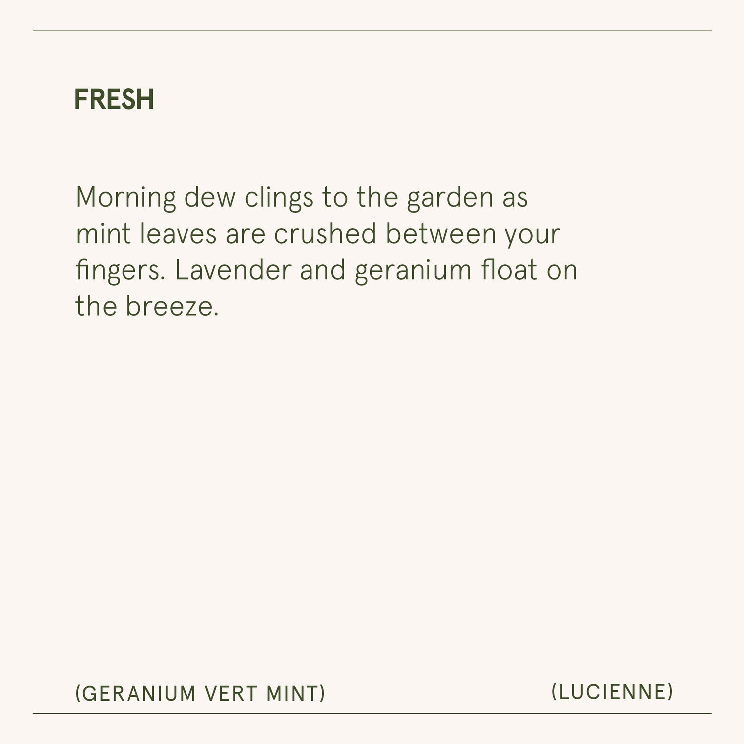 Lucienne - Geranium Vert Mint Candle Lucienne_GeraniumVertMint_PDP_15oz_7_c740a49f-ea79-404a-8da7-91ee4dfd7028 LA JOLIE MUSE